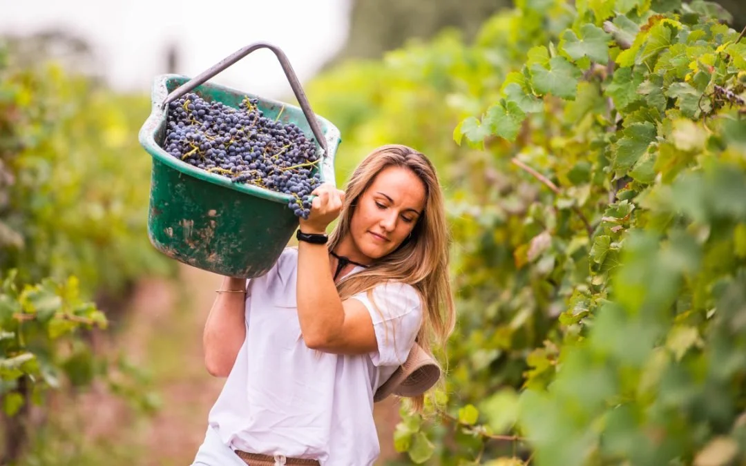 Women in Wine Tasting