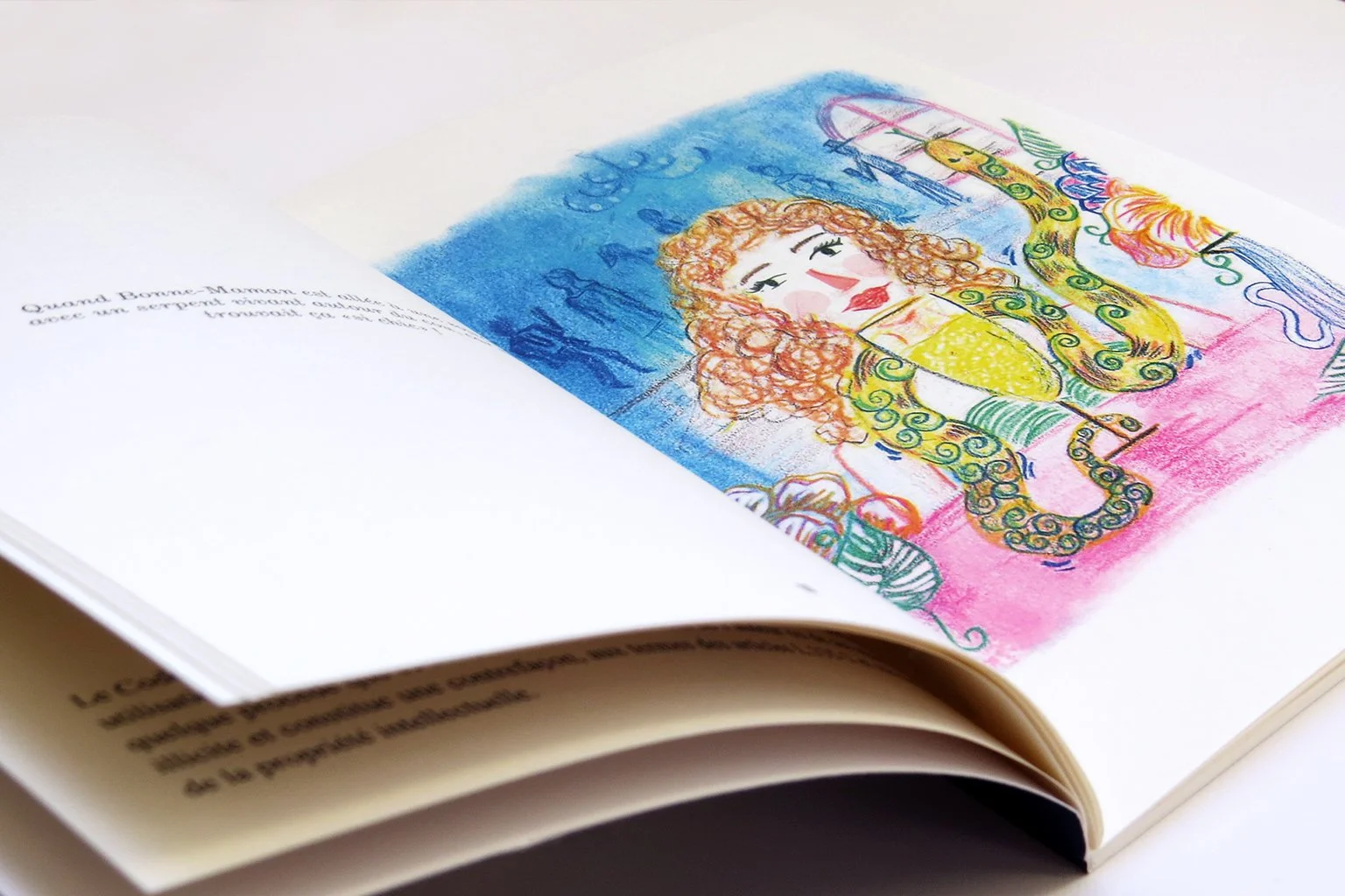 PHOTOLIVRE9.jpg