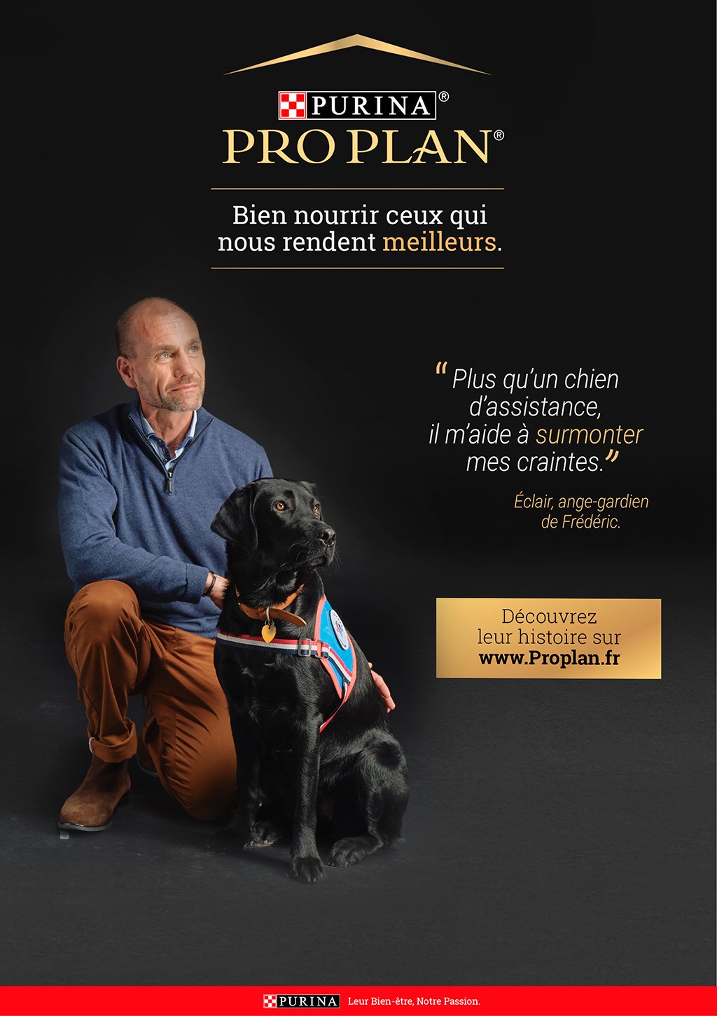 PURINA16.jpg