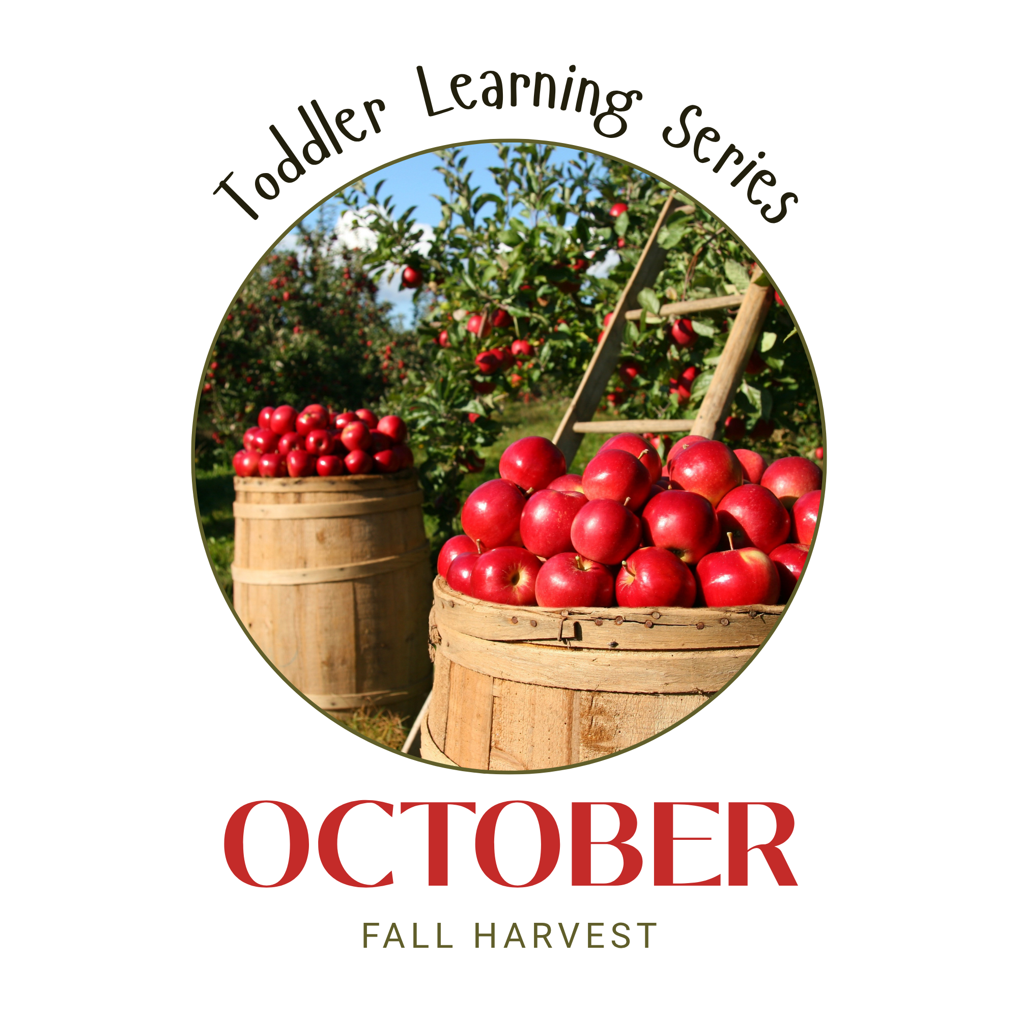 October | Fall Harvest 🍂
