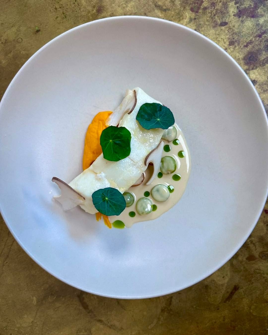 Olive oil poached Alaskan Halibut.

Paired with confit fingerling potatoes and carrot pur&eacute;e, then finished with a sauce v&eacute;ronique made with @mickklugfarms grapes, shaved trumpet mushroom, nasturtium, and basil oil.

Clean, focused, and 