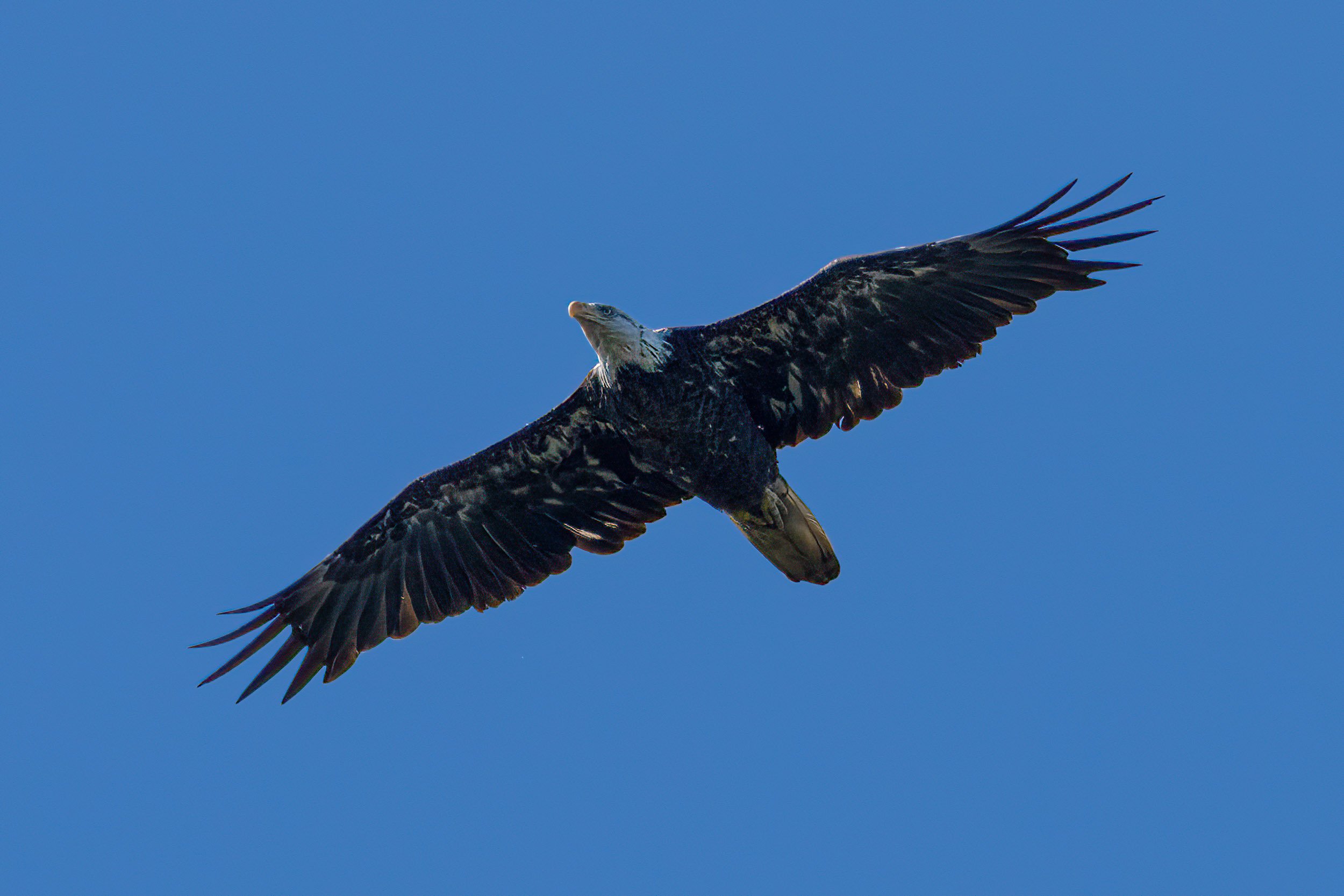 AR503912-Edit.jpg