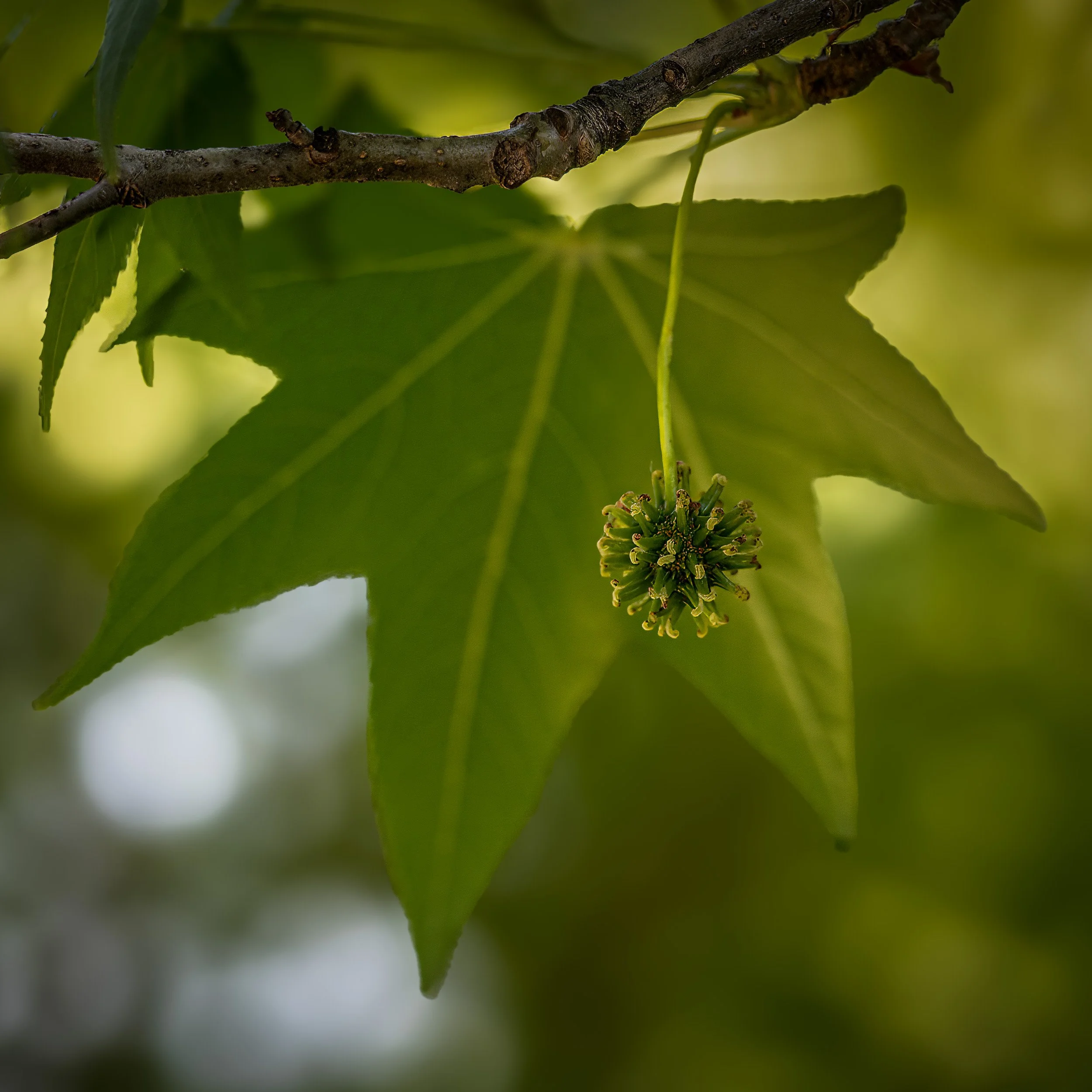 _DSC6740-Edit-2.jpg