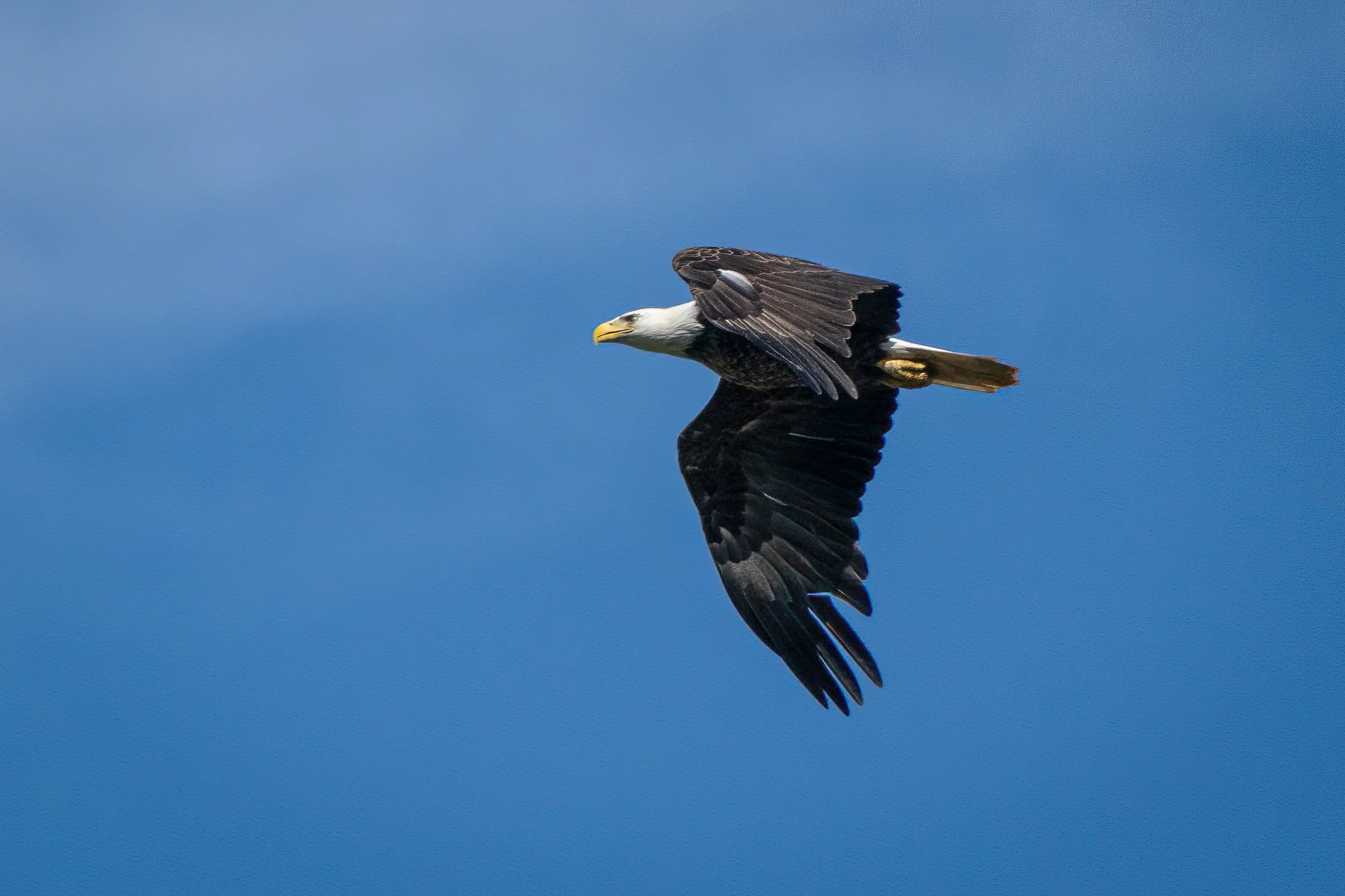 AR504401-Edit.jpg