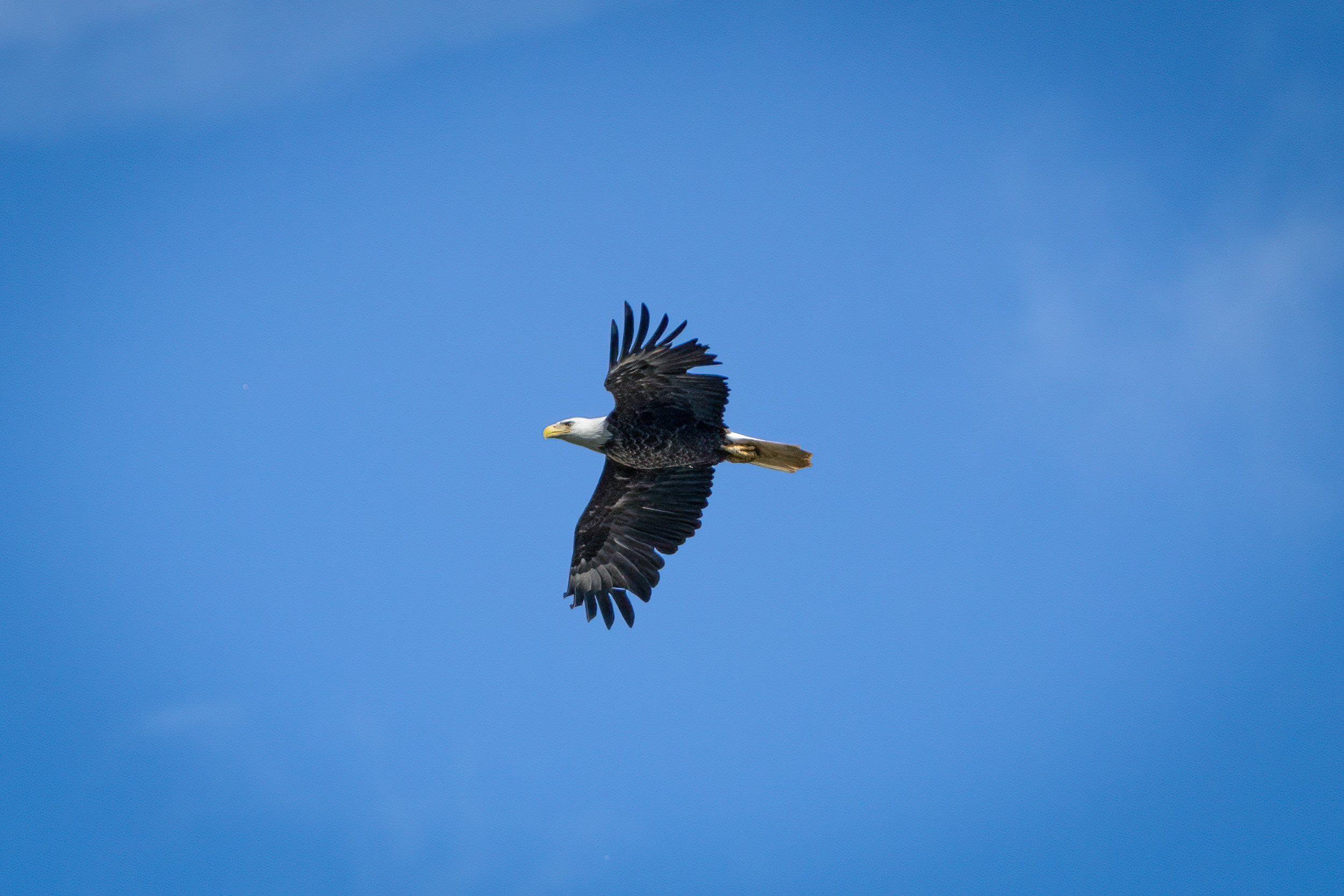AR504400-Edit.jpg