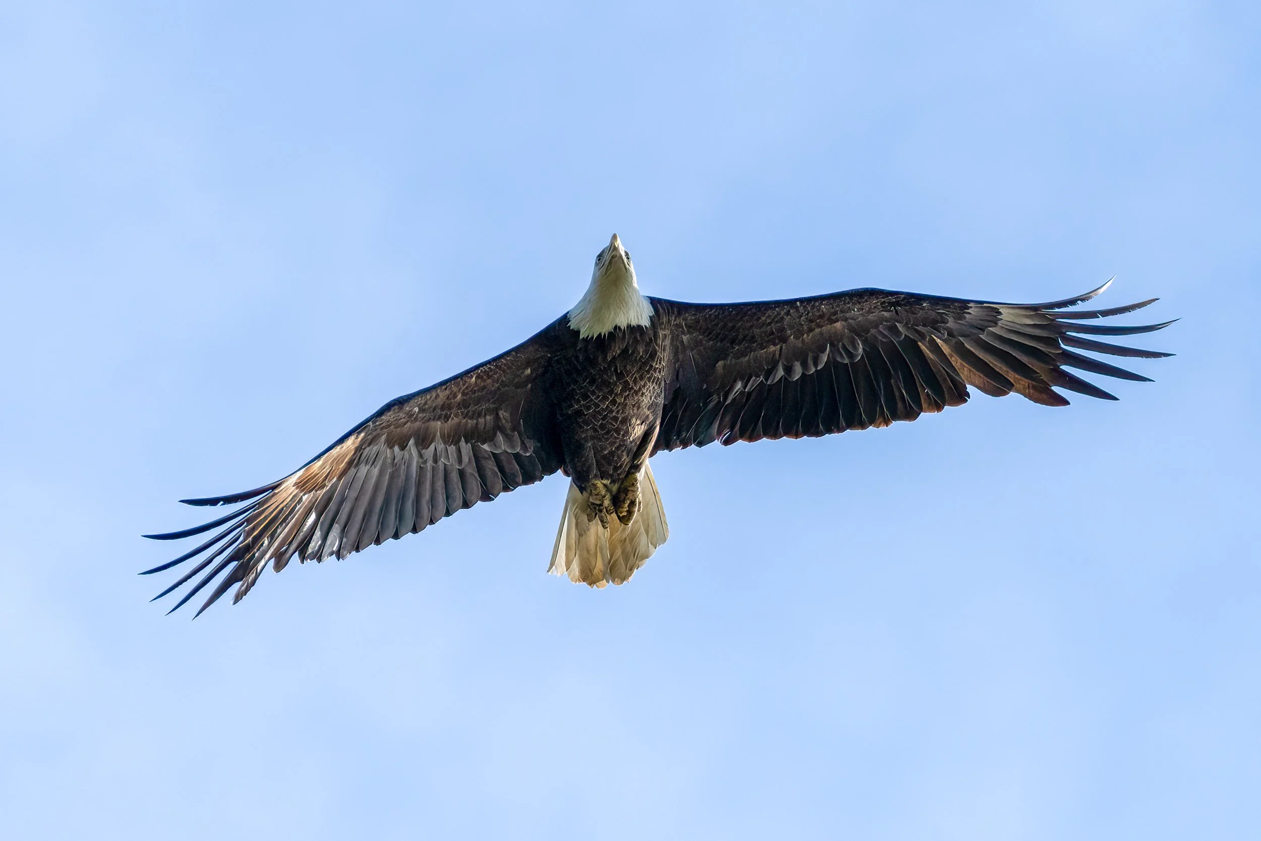 AR504202-Edit.jpg
