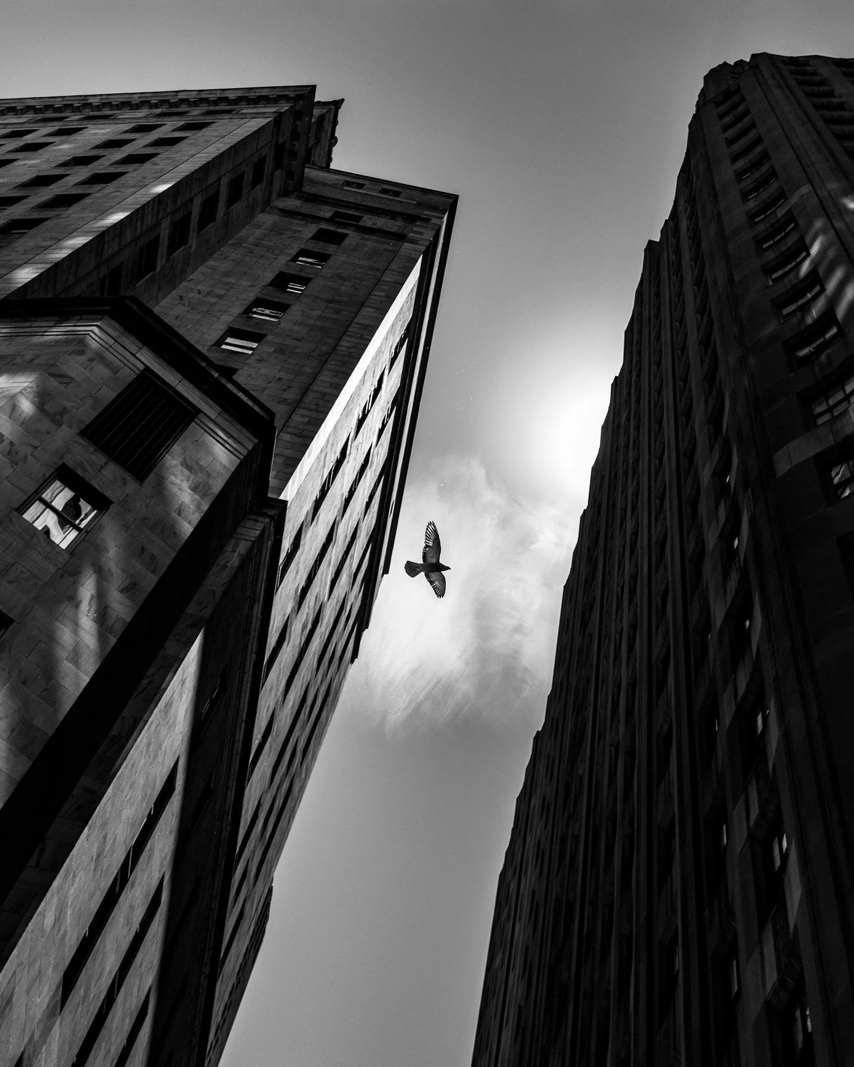 D1043161-2.jpg