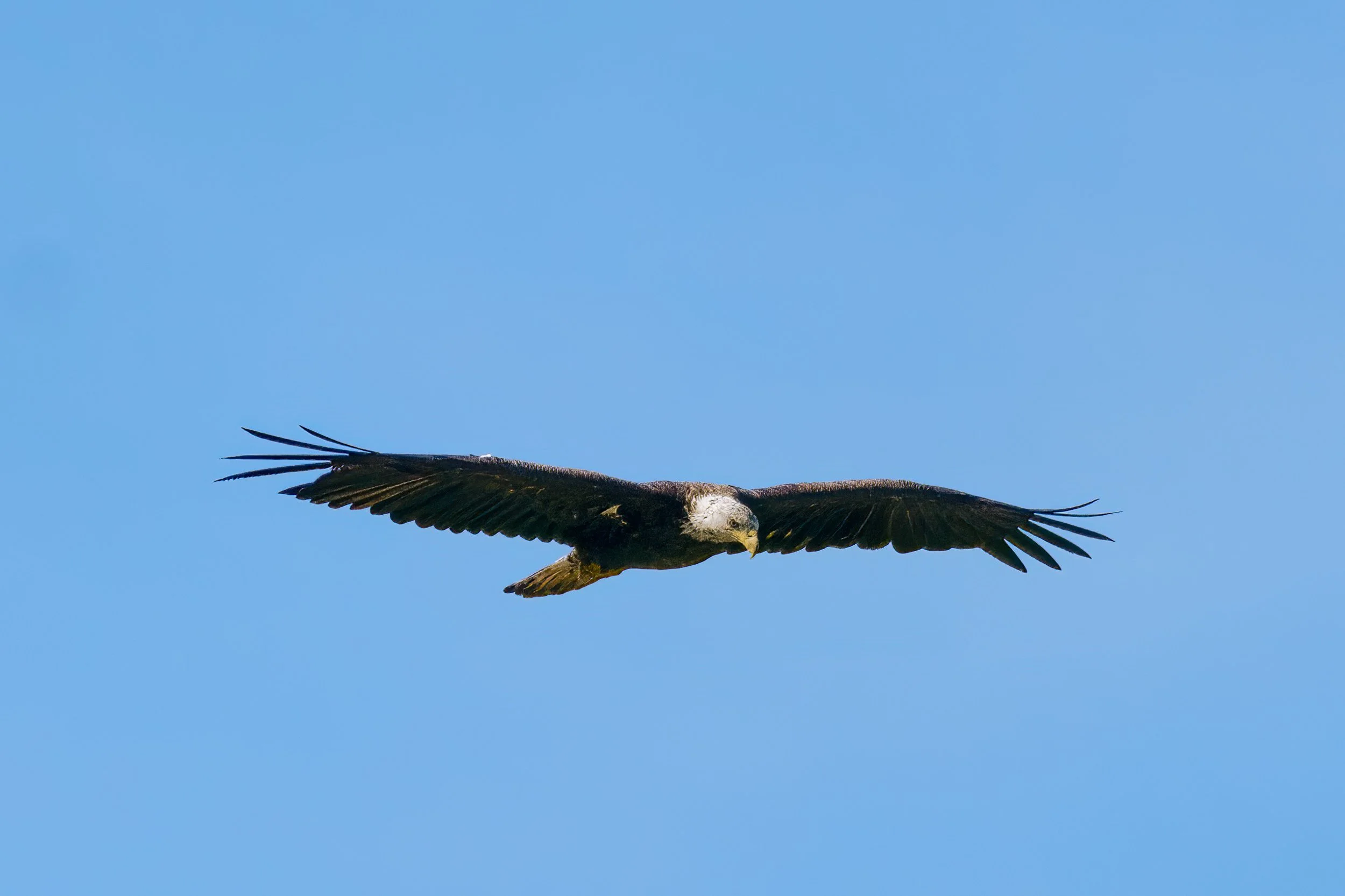 AR503555-Edit-Edit.jpg