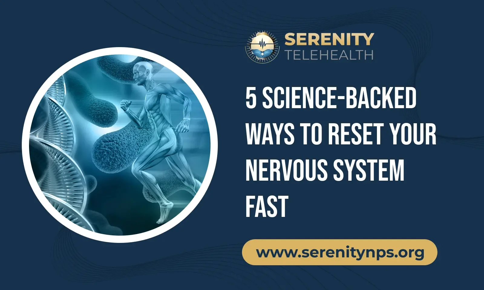 How to Reset Your Nervous System in 2026: An Updated Guideline