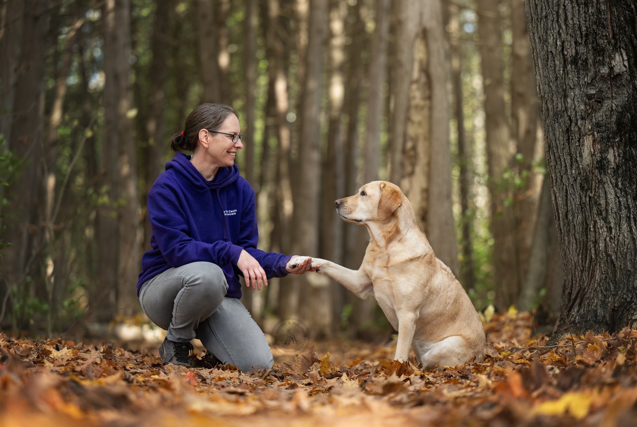 Une femme avec des lunettes, portant un sweat bleu, est dans une forêt avec un chien golden retriever. Elle lui tend la patte, tous deux se regardant avec douceur.