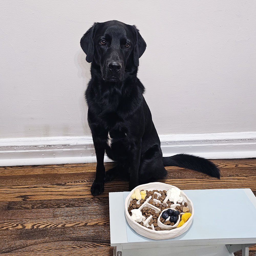 A handmade ceramic pet bowl made at a pottery class at Bat Haus in Williamsburg, Brooklyn.