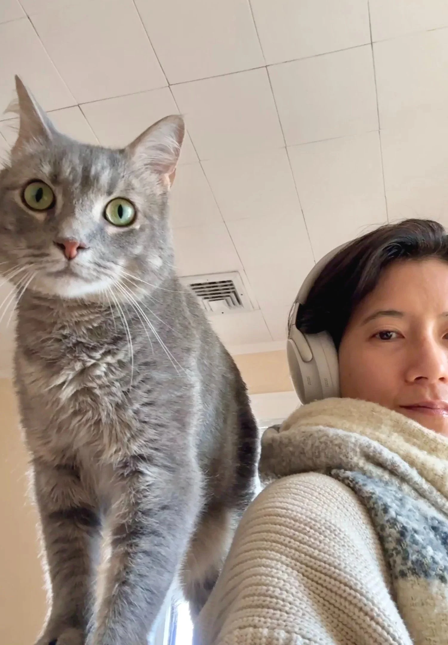 Natalie Chan wearing headphones at her Brooklyn studio with her gray cat Momo close beside her.