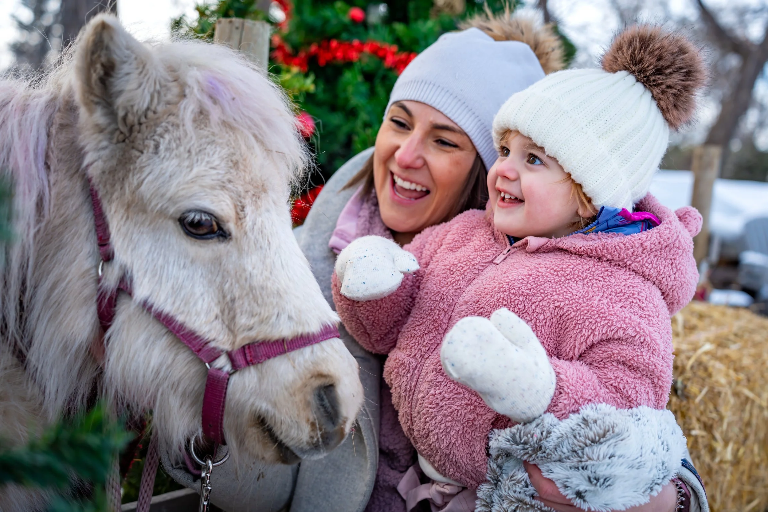 ChristmasPhotoshoot_Ashley-4-100PERMISSION TO SHARE.jpeg