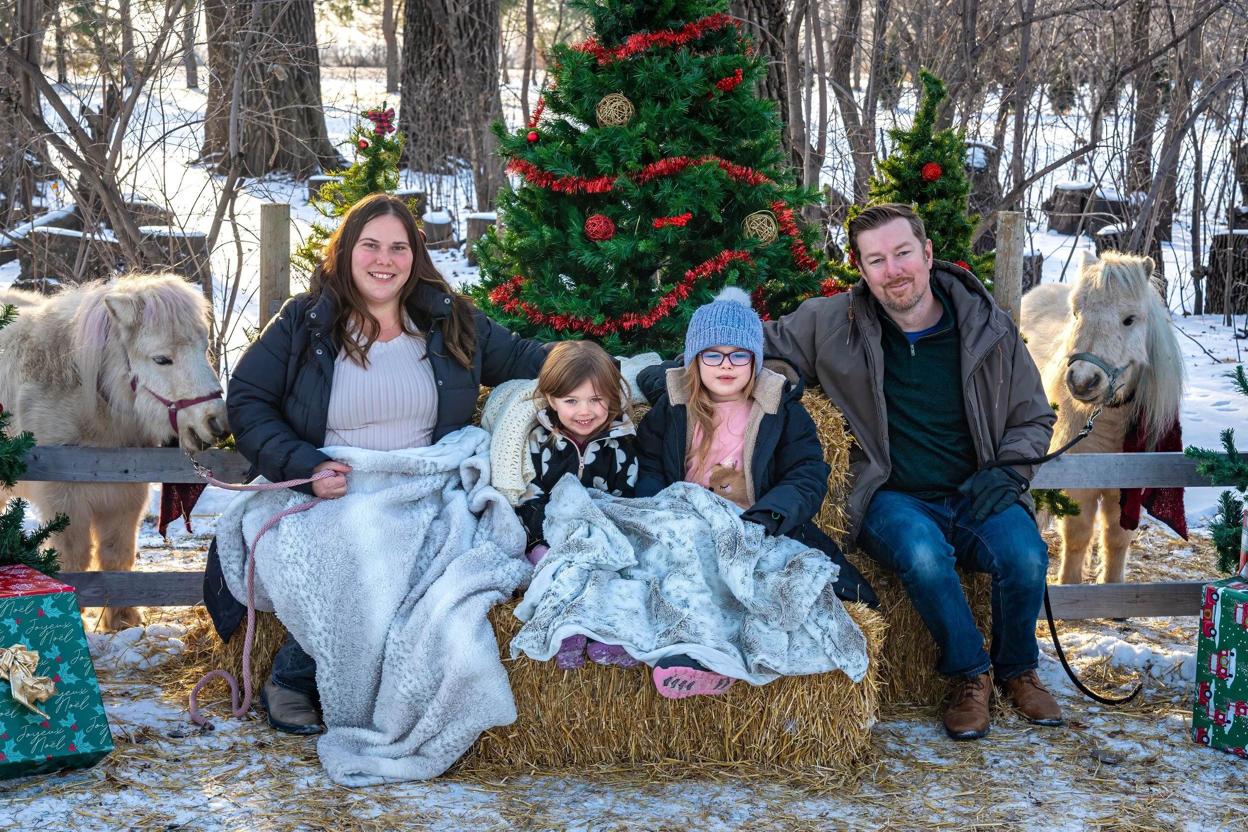 ChristmasPhotoshoot_Marley-1-100PERMISSION TO SHARE.jpeg