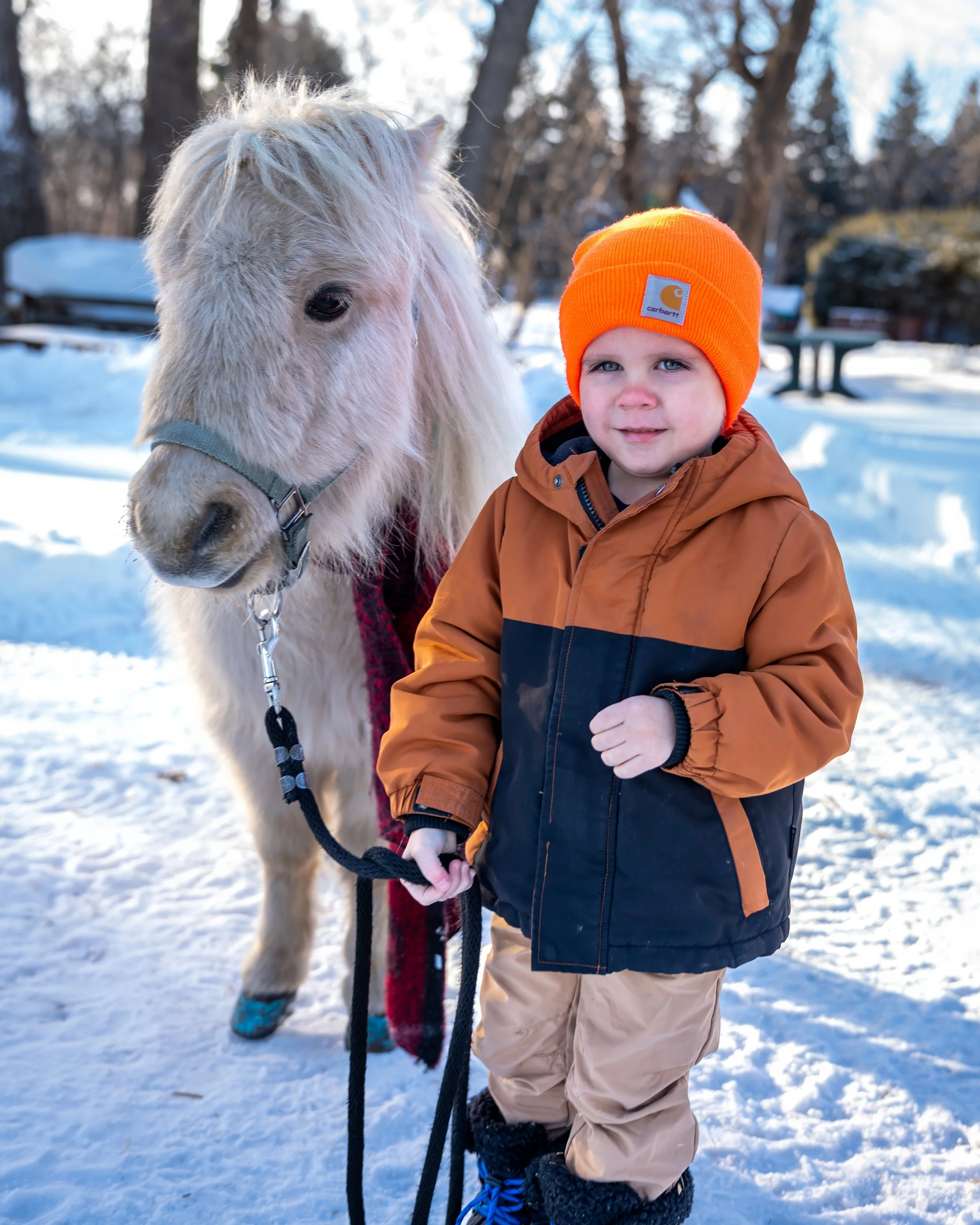 ChristmasMiniShoot-C-13-100PERMISSION TO SHARE.jpeg