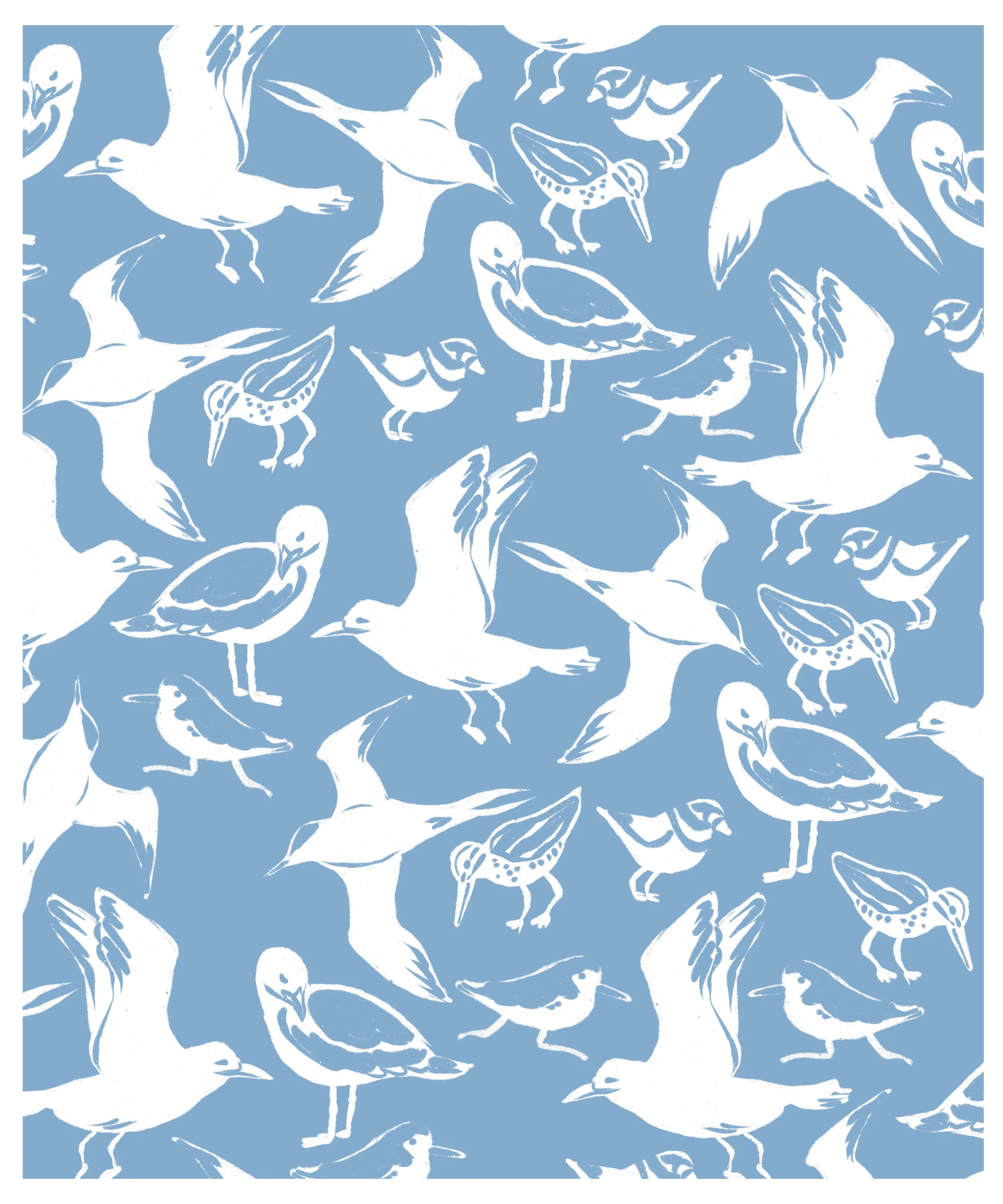 Coastal_Birds.jpg