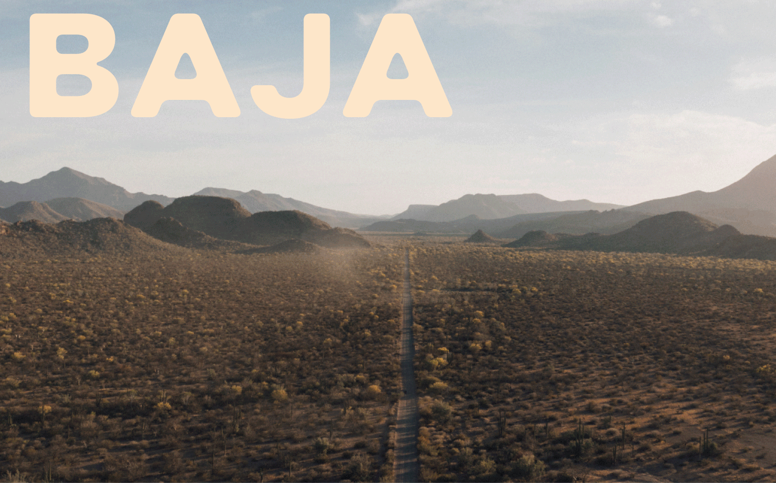 SafariSpecial.gif