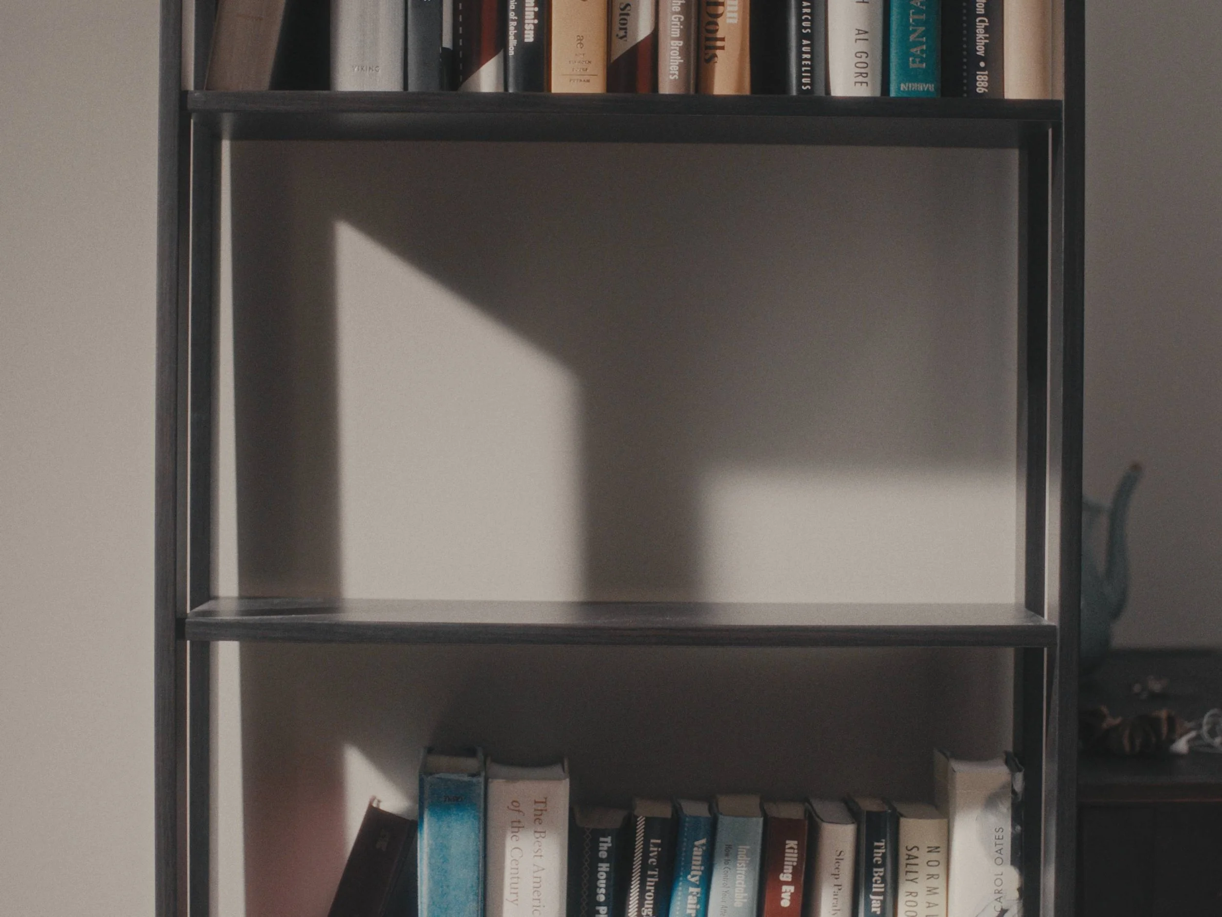 Empty black metal bookshelf with books on top and bottom shelves, a shadow cast on the wall, and a dark object on a table in the background.