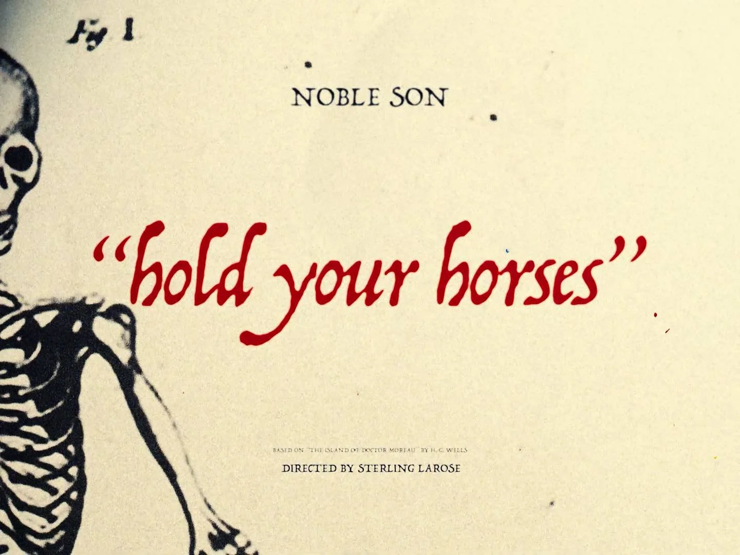 Page from a book titled "Noble Son" with the subtitle "Hold your horses" in red text, and a skull illustration on the left side.