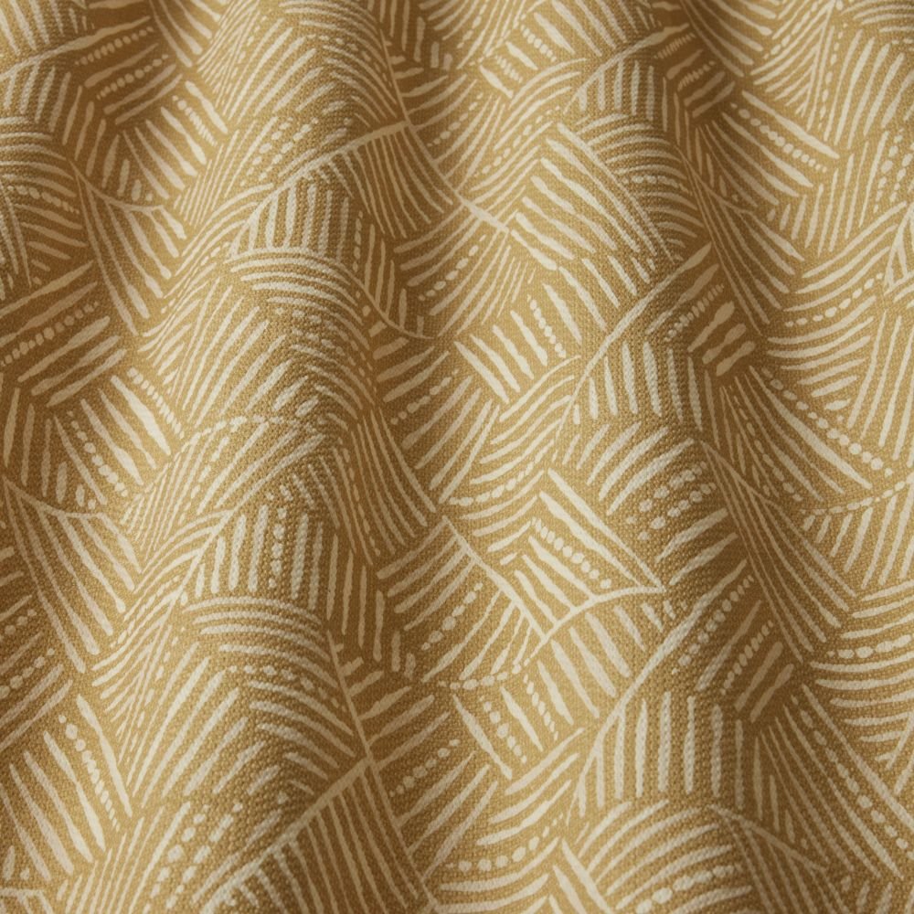 triangulum_dijon_wavy_1.jpg