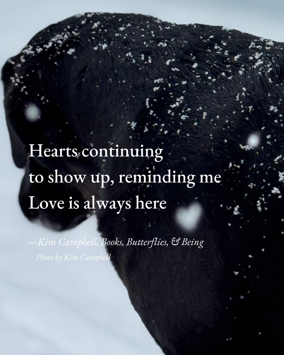 Love Is Always Here: A Haiku