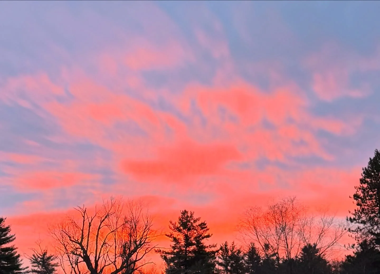 This morning&rsquo;s stunning greeting.😍☀️💗 It literally stopped me in my tracks. Although I love how the photos came out, they don&rsquo;t fully capture the Beauty that I witnessed. So grateful!💗💗💗