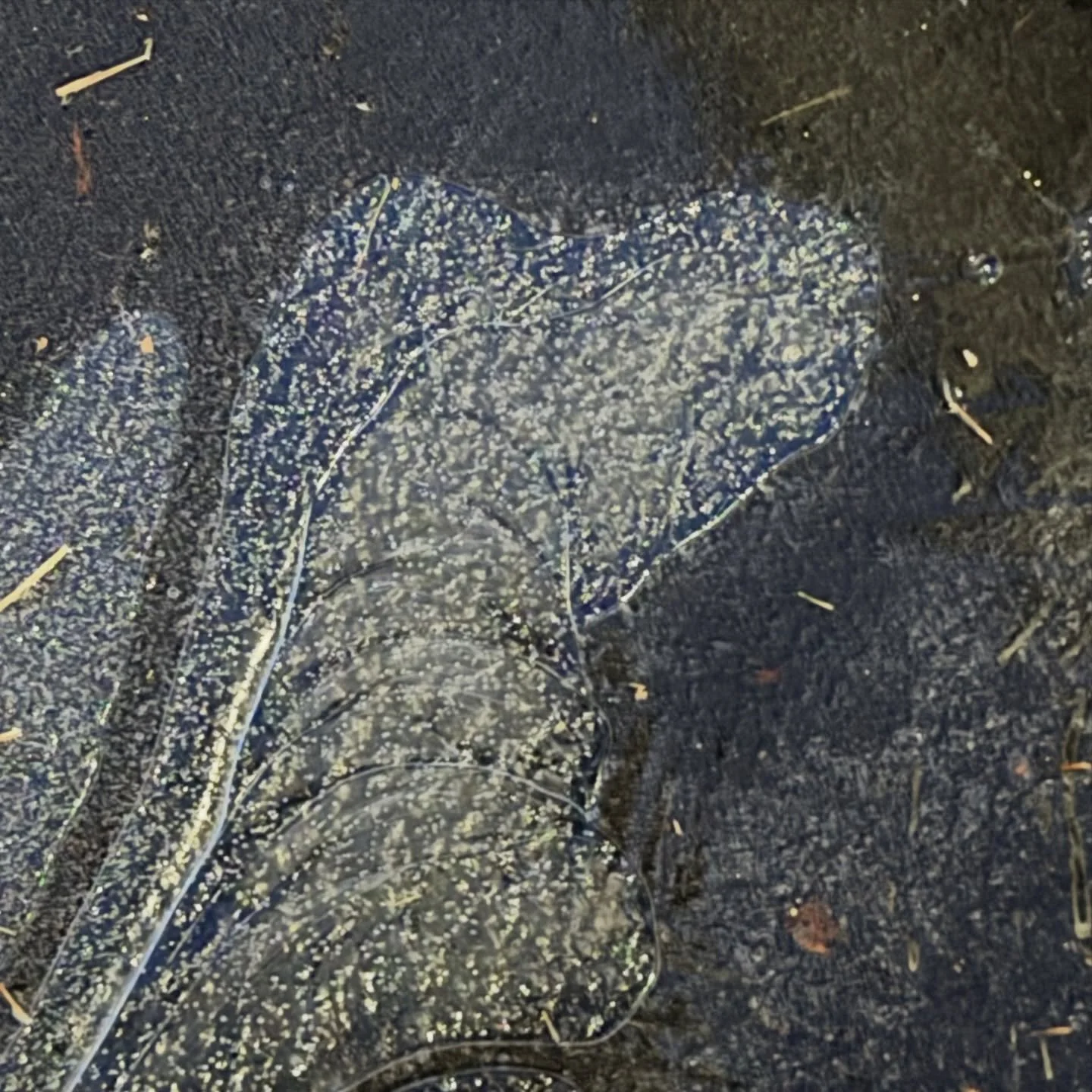 💗

#NaturesLoveSprinkles