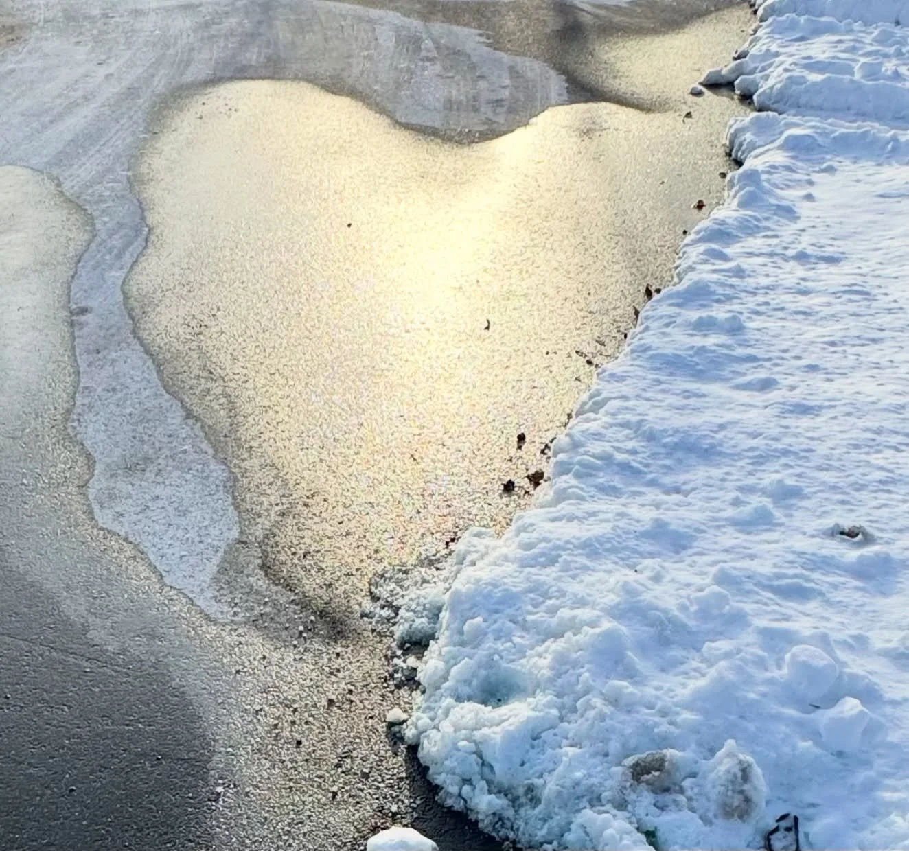 😍🥰💗❄️✨ In the sixth photo, do you see a tiny heart diagonally below and to the right of the heart made of snow?😊💗

#NaturesLoveSprinkles