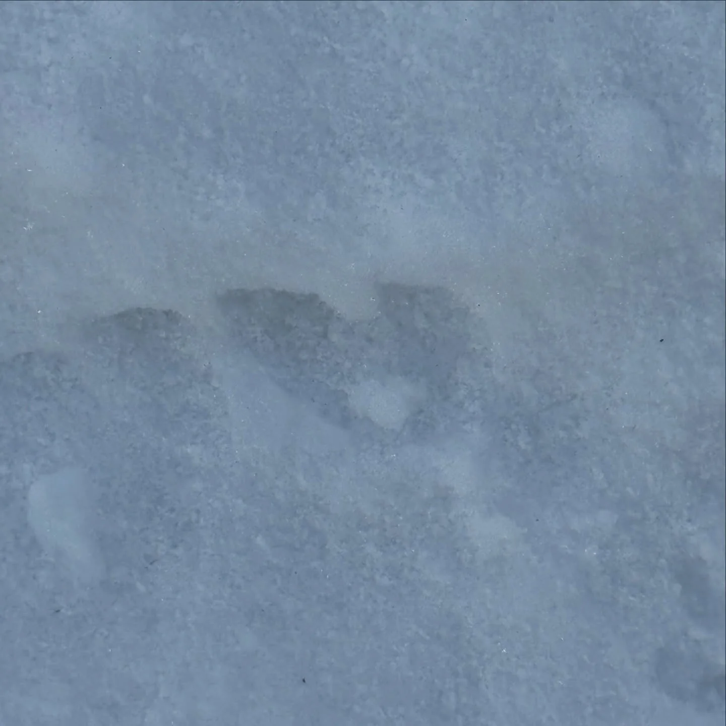 In the first photo, do you see a tiny heart inside the bigger heart?😍 More hearts in nature the last couple of days.💗

#NaturesLoveSprinkles