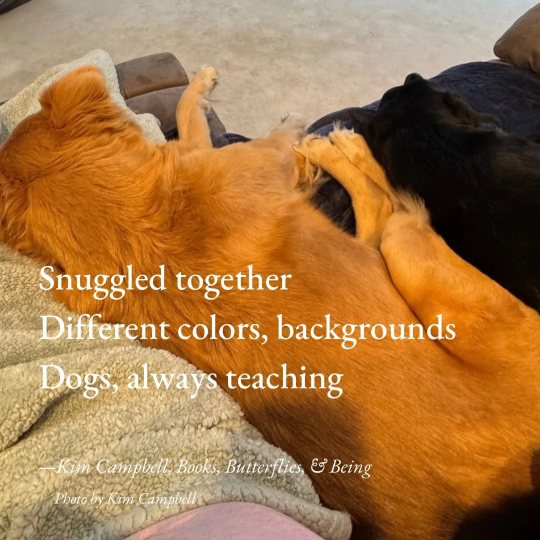 🥰💗

#HaikuSaturday