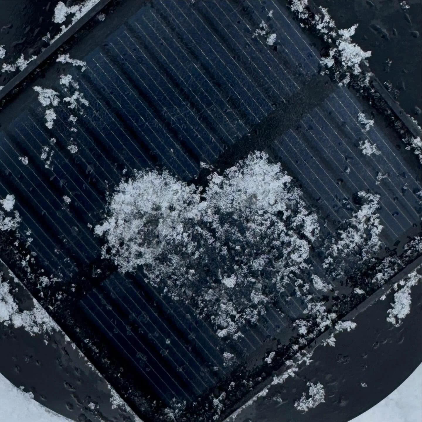 Focusing on Love💗💗💗

I see a tiny heart inside the bigger heart in the first photo. I also see two hearts in the last photo.🥰

Where do you find hearts?

#NaturesLoveSprinkles