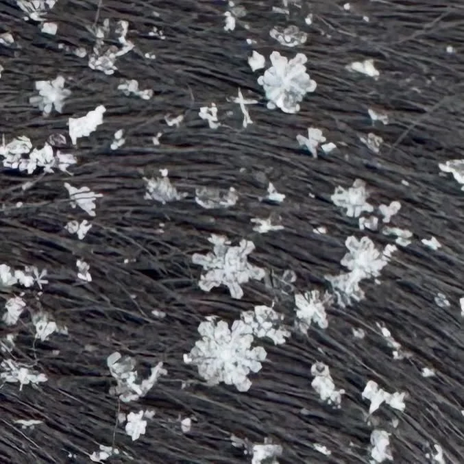 Finding Awe😍❄️💗✨