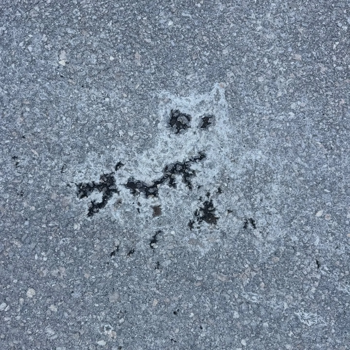 What do you see?👀

I love all the art I see on my walks! Nature is so Creative!😍💗✨