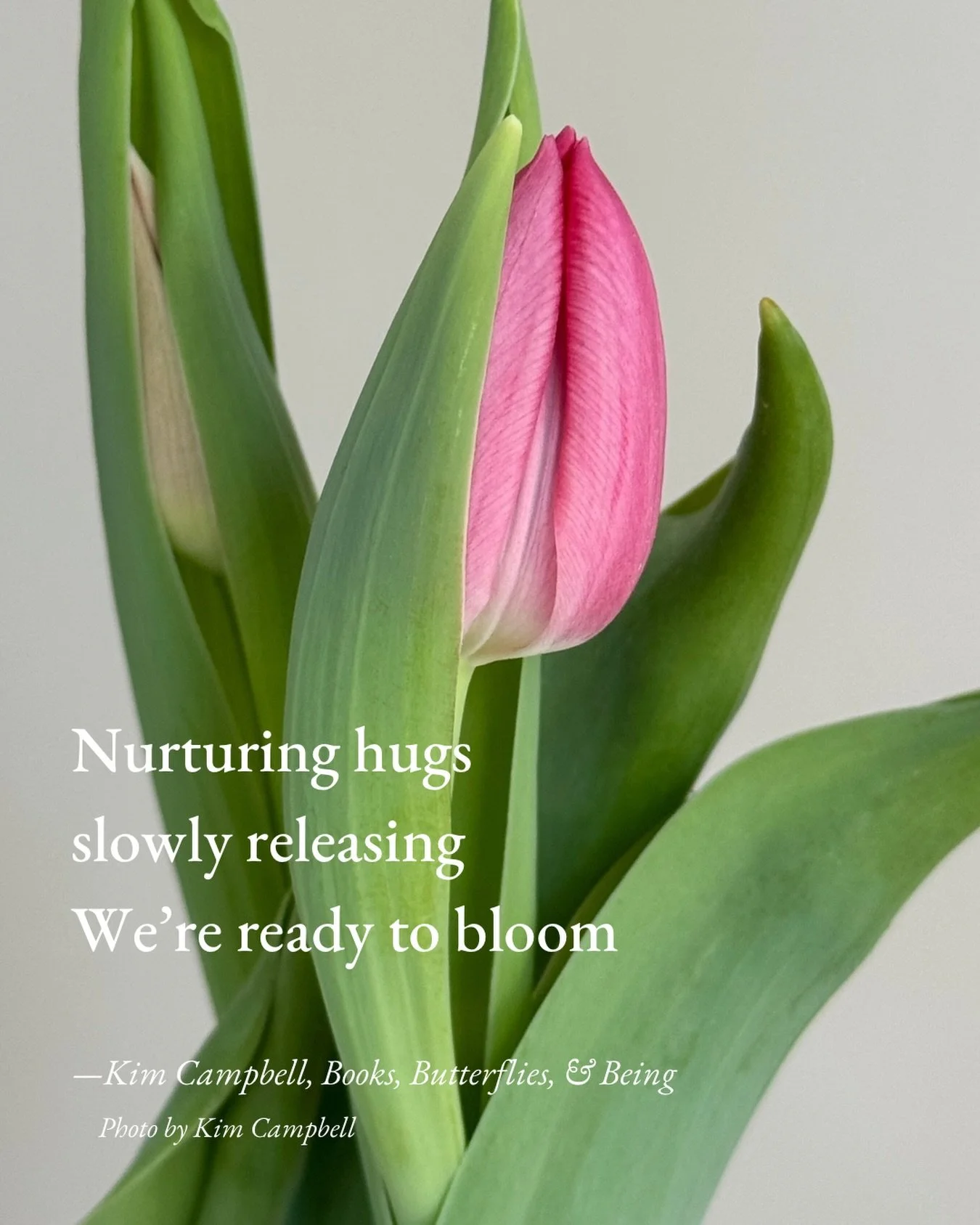 #HaikuSaturday #BloomScrolling