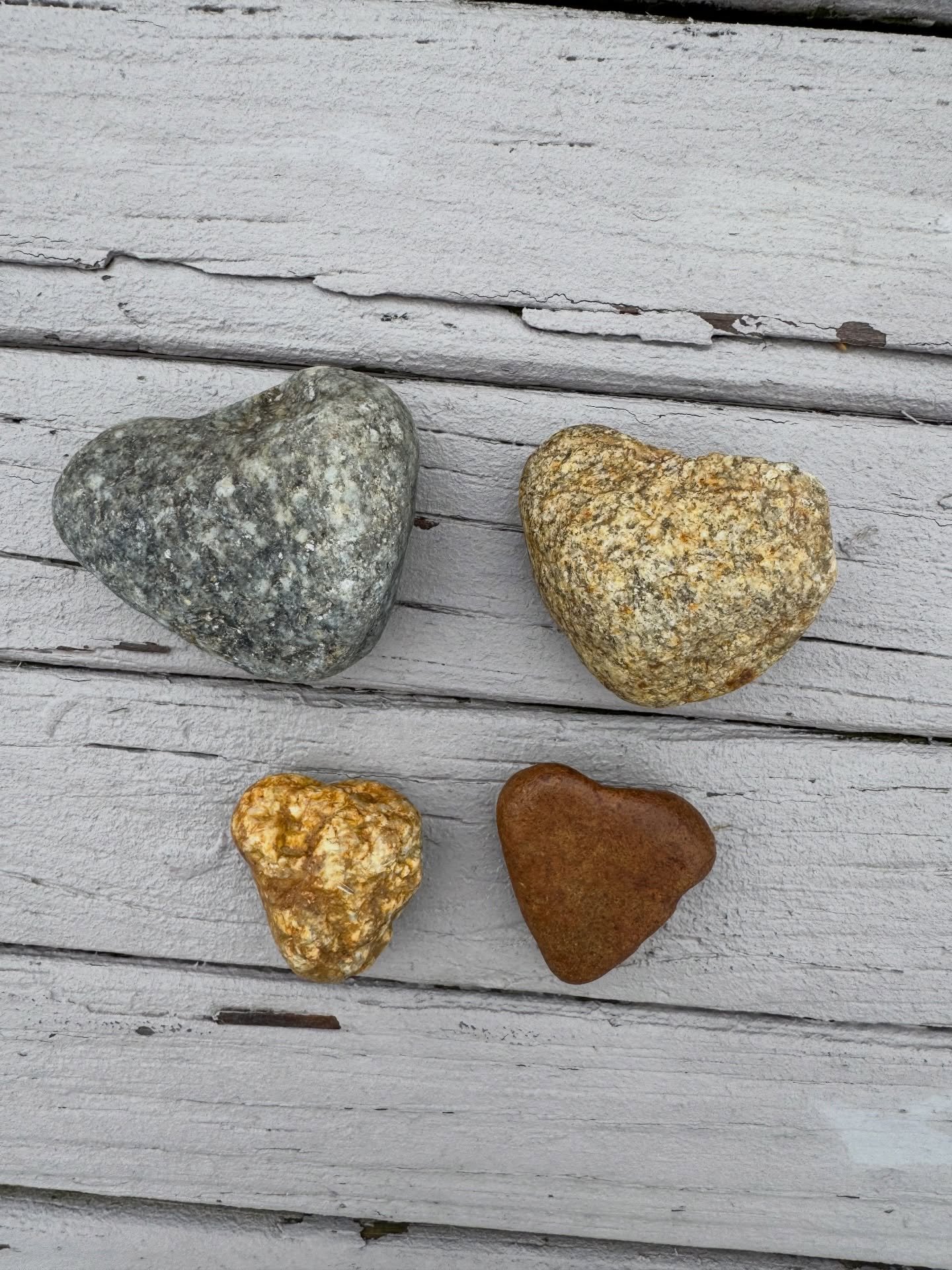 Between yesterday and today I have found around 16 heart shape rocks in our yard. We have rocks around a good part of our house that we got about 3 years ago. I find it interesting that I&rsquo;m seeing all these now and they have all been in close p
