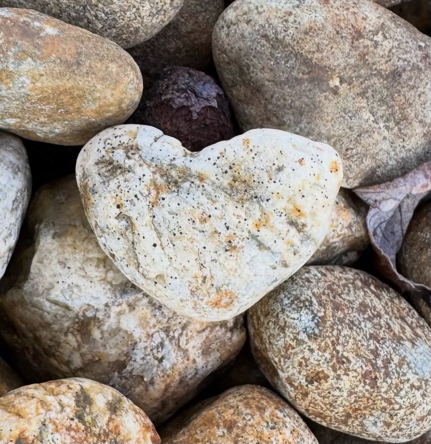 In Gratitude to Nature 💗✨

#NaturesLoveSprinkles