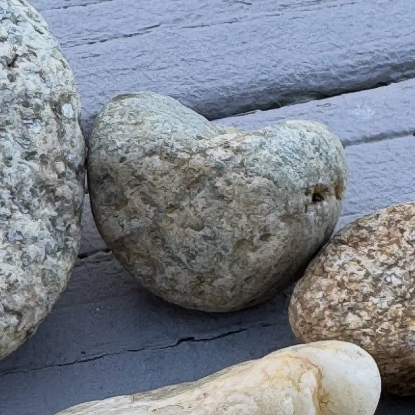 💗💗💗

#NaturesLoveSprinkles