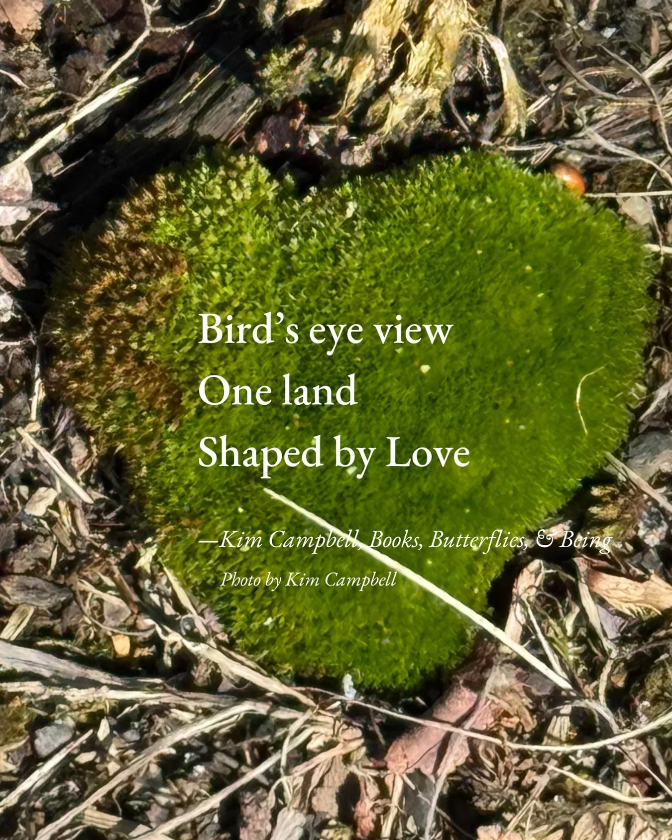 #HaikuSaturday #NaturesLoveSprinkles