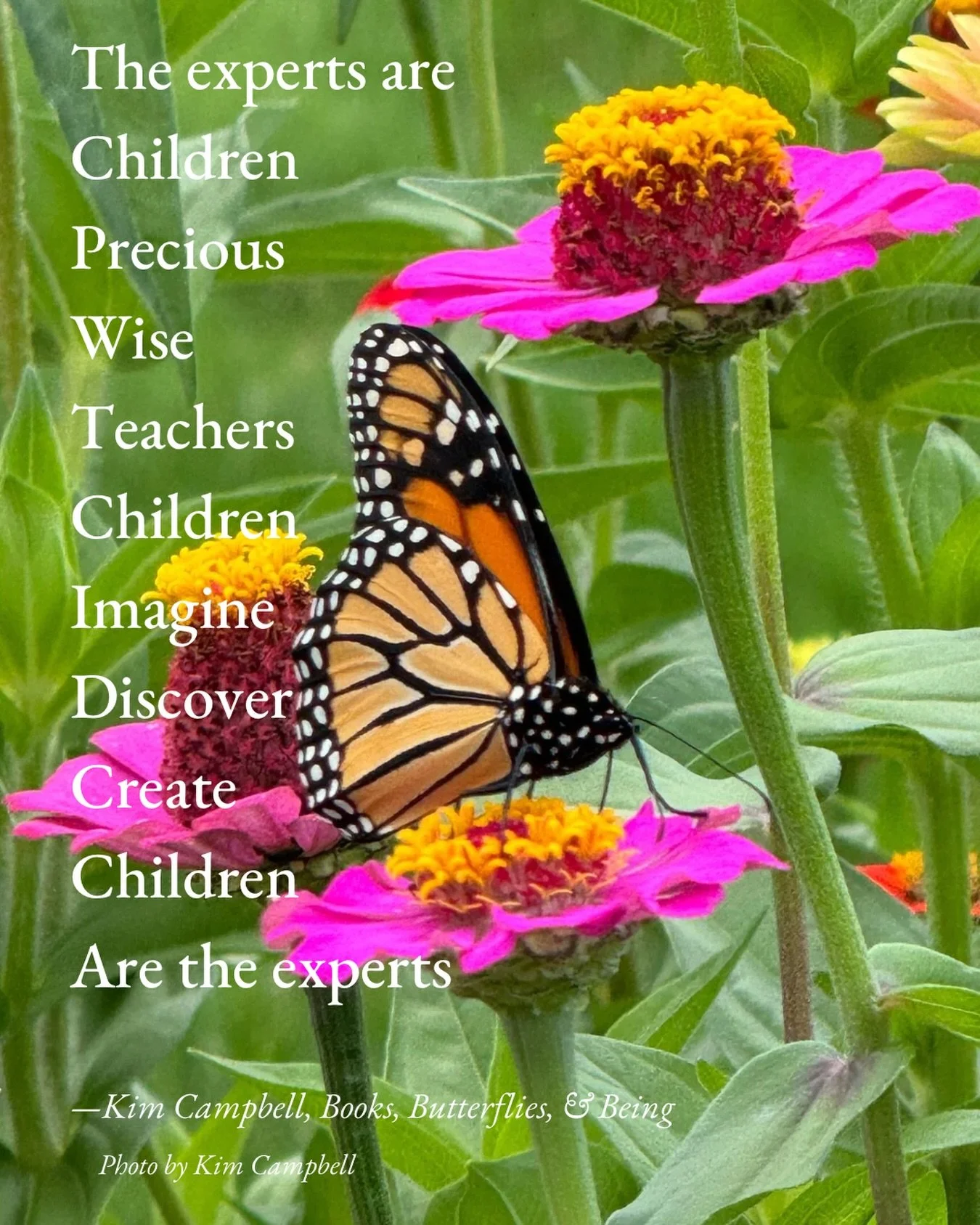 #KidLit #SkinnyPoem #BloomScrolling