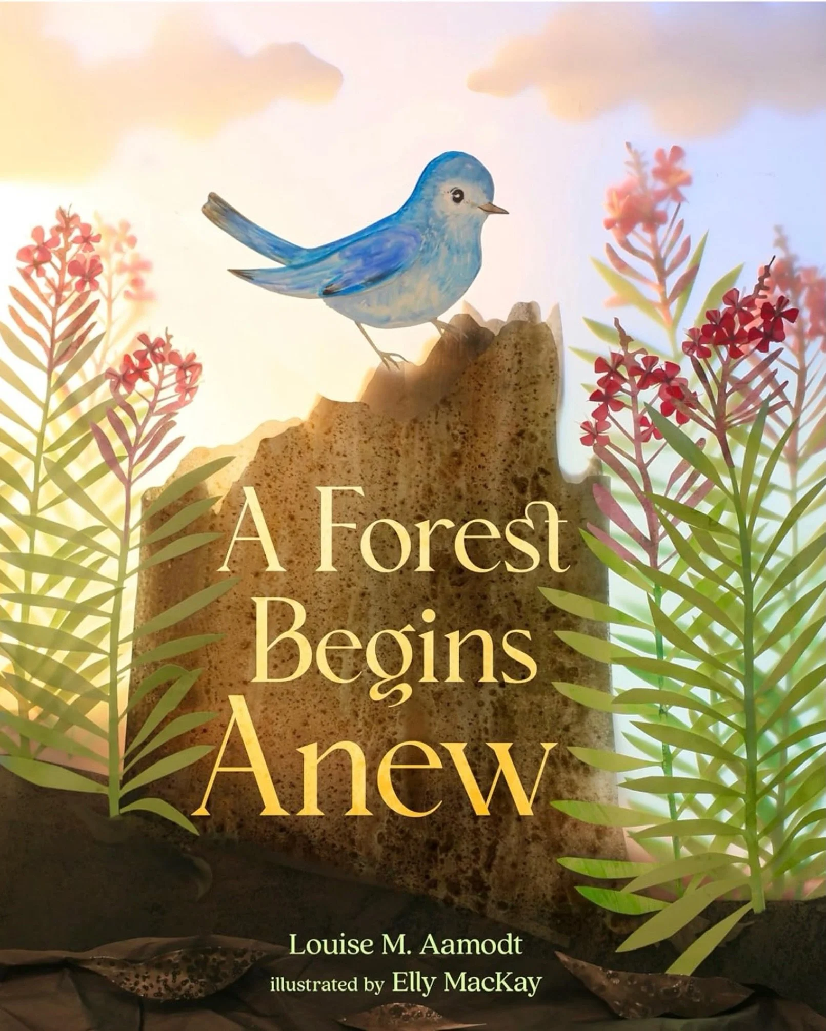 There&rsquo;s still time to 🌟preorder🌟, A Forest Begins Anew, written by Louise M. Aamodt &amp; illustrated by @elly.mackay! It comes out tomorrow, Tuesday, May 12!😍📚💗🎉✨

Forest fires are devastating. What could possibly be a positive side to t