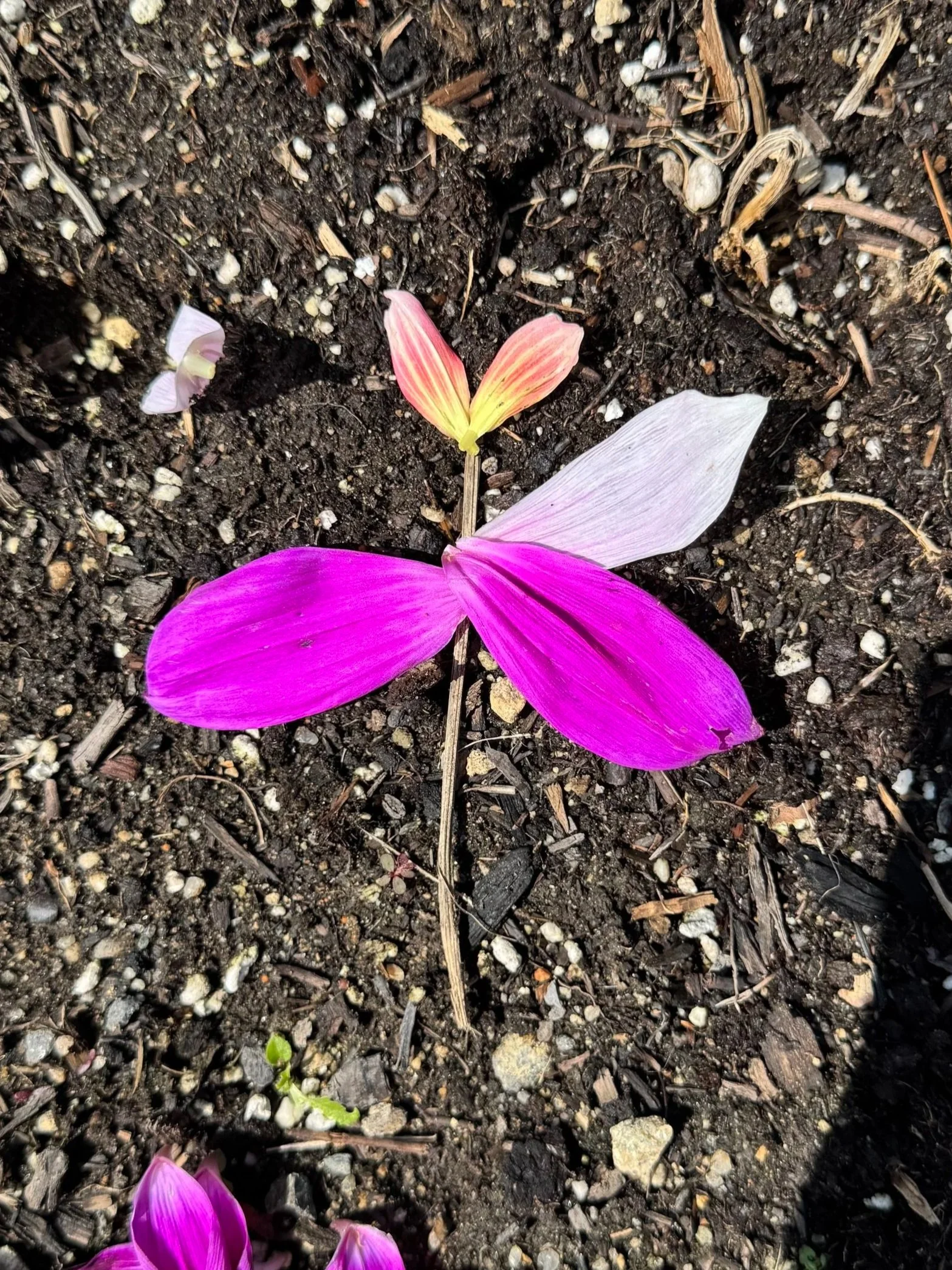 Nature art