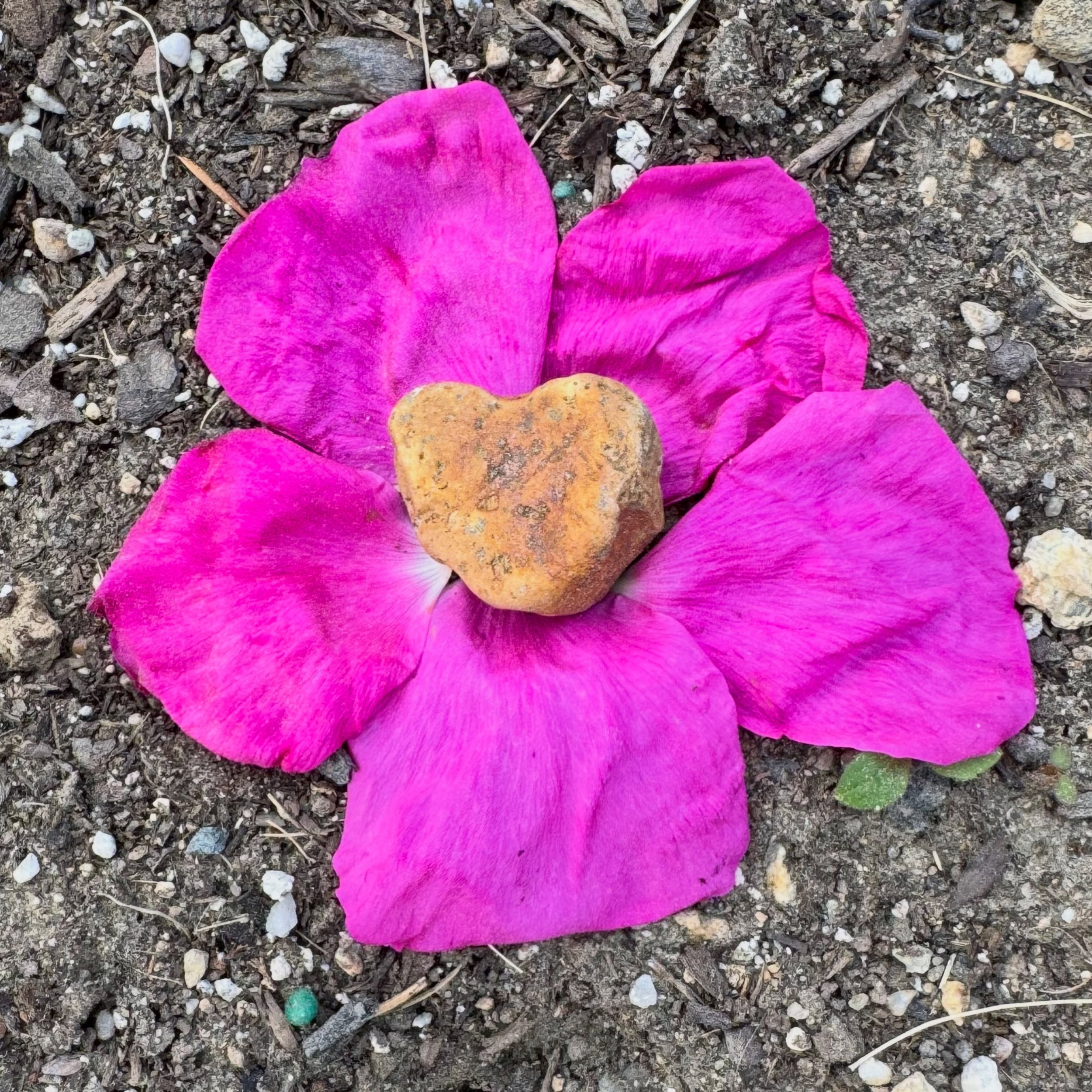 More nature art.💗🌟

#BloomScrolling