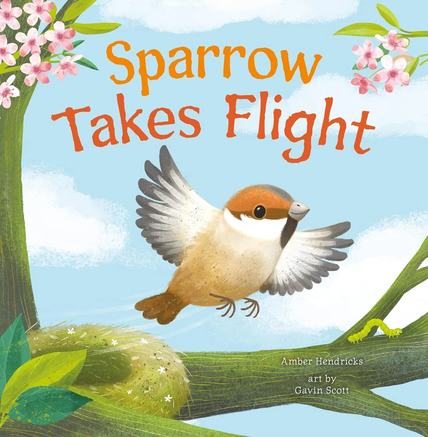 Image of front cover of board book, Sparrow Takes Flight, written by Amber Hendricks & illustrated by Gavin Scott