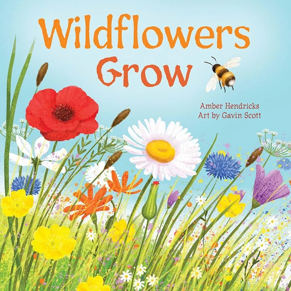 Image of front cover of board book, Wildflowers Grow, written by Amber Hendricks & illustrated by Gavin Scott