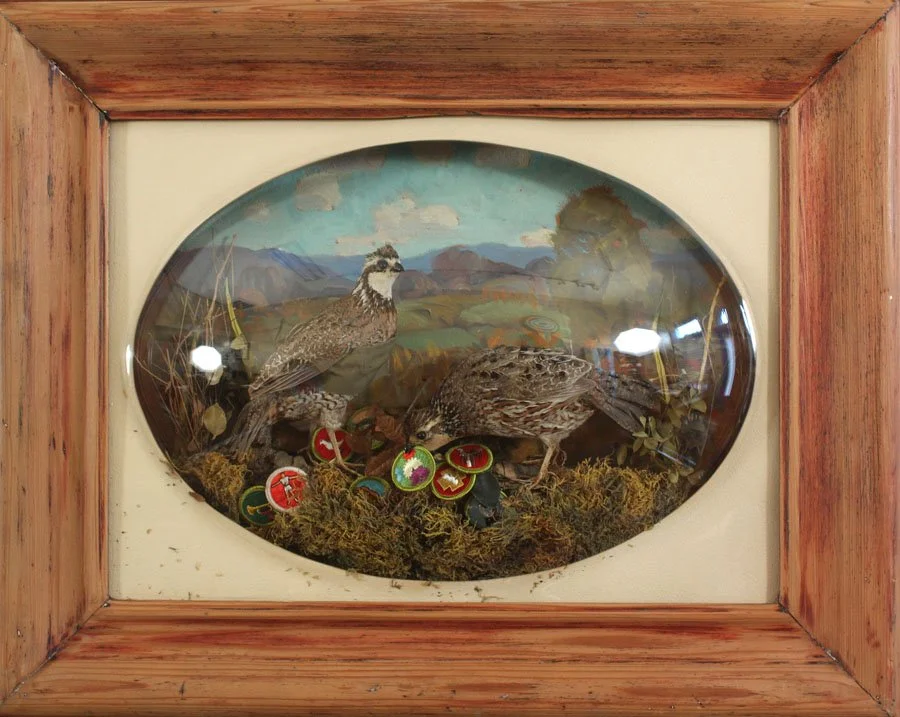 Decorative display of two mounted grouse birds inside a wooden frame with a painted background and hanging pins.