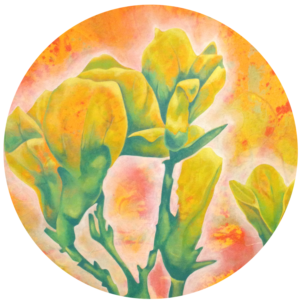 tuliptree copy.png