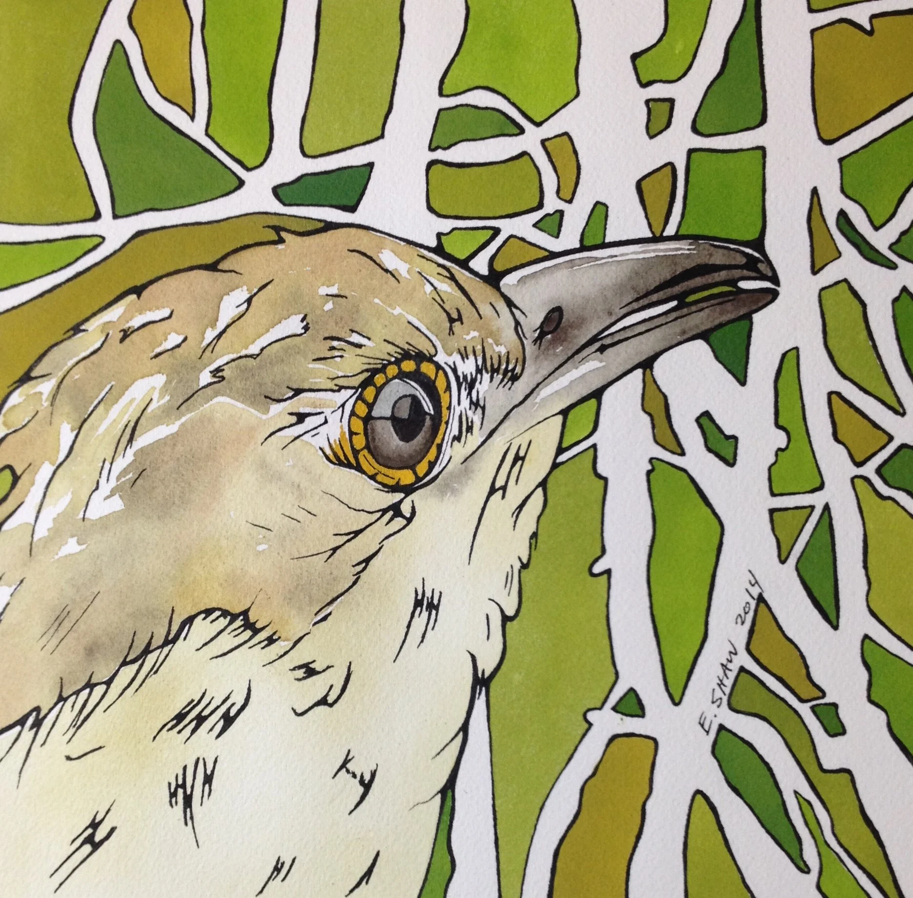 Close-up illustration of a bird's head against a green and white abstract background.