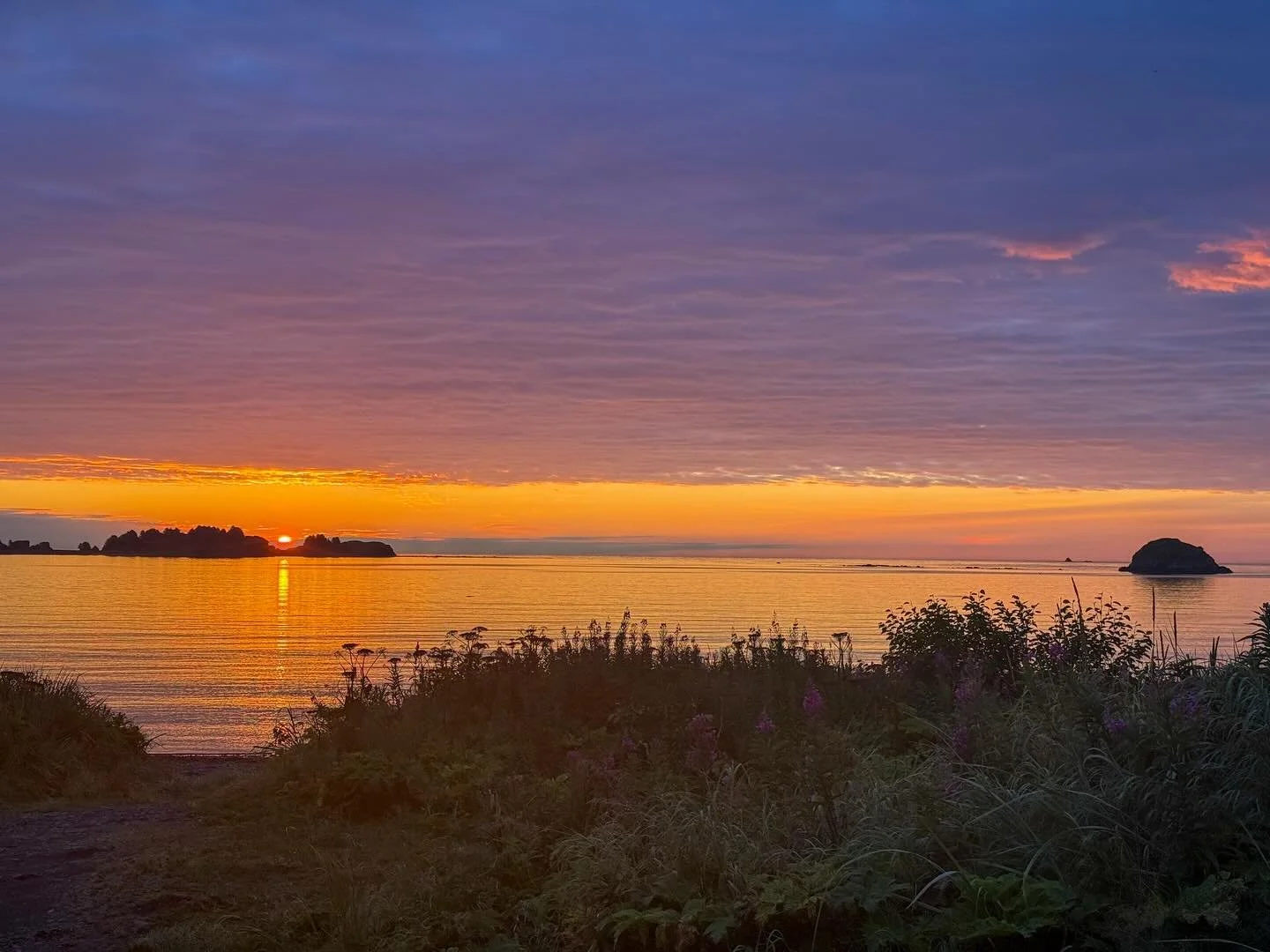 In August 2025, I had the pleasure of traveling to Alaska for a friend&rsquo;s wedding and got to explore some new places! First stop was Kodiak for the big event. What a truly magical place! I left my sunglasses at the venue so woke up early to coll