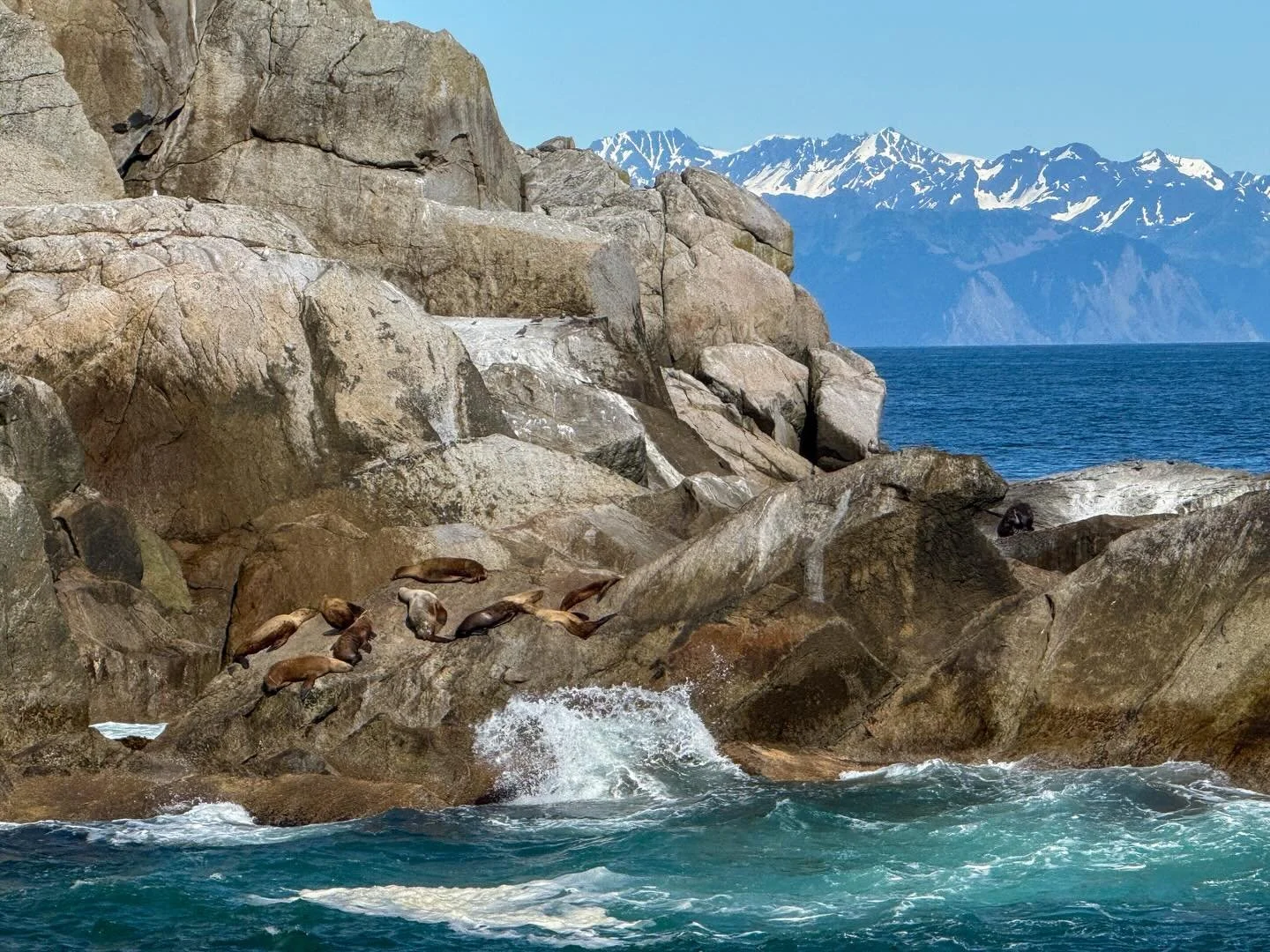 Kenai Fjords National Park! What a spectacular boat tour! I got incredibly lucky with the gorgeous weather and the views were absolutely incredible. If you ever get the chance to visit Seward, I HIGHLY recommend a boat tour of the fjords. - Aug. 2025