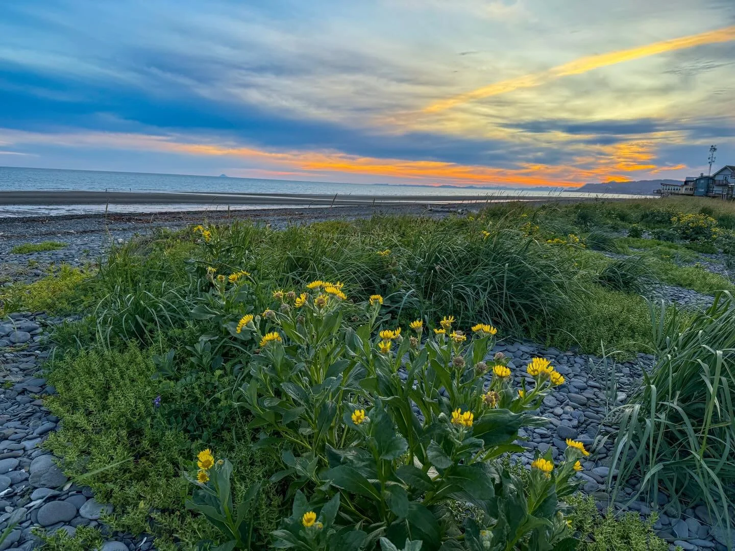Homer, AK! This was a place I&rsquo;d wanted to visit for a long time so I had to make it happen, even if only for a night. Such a gorgeous drive to Homer Spit! I will certainly be back. - Aug. 2025